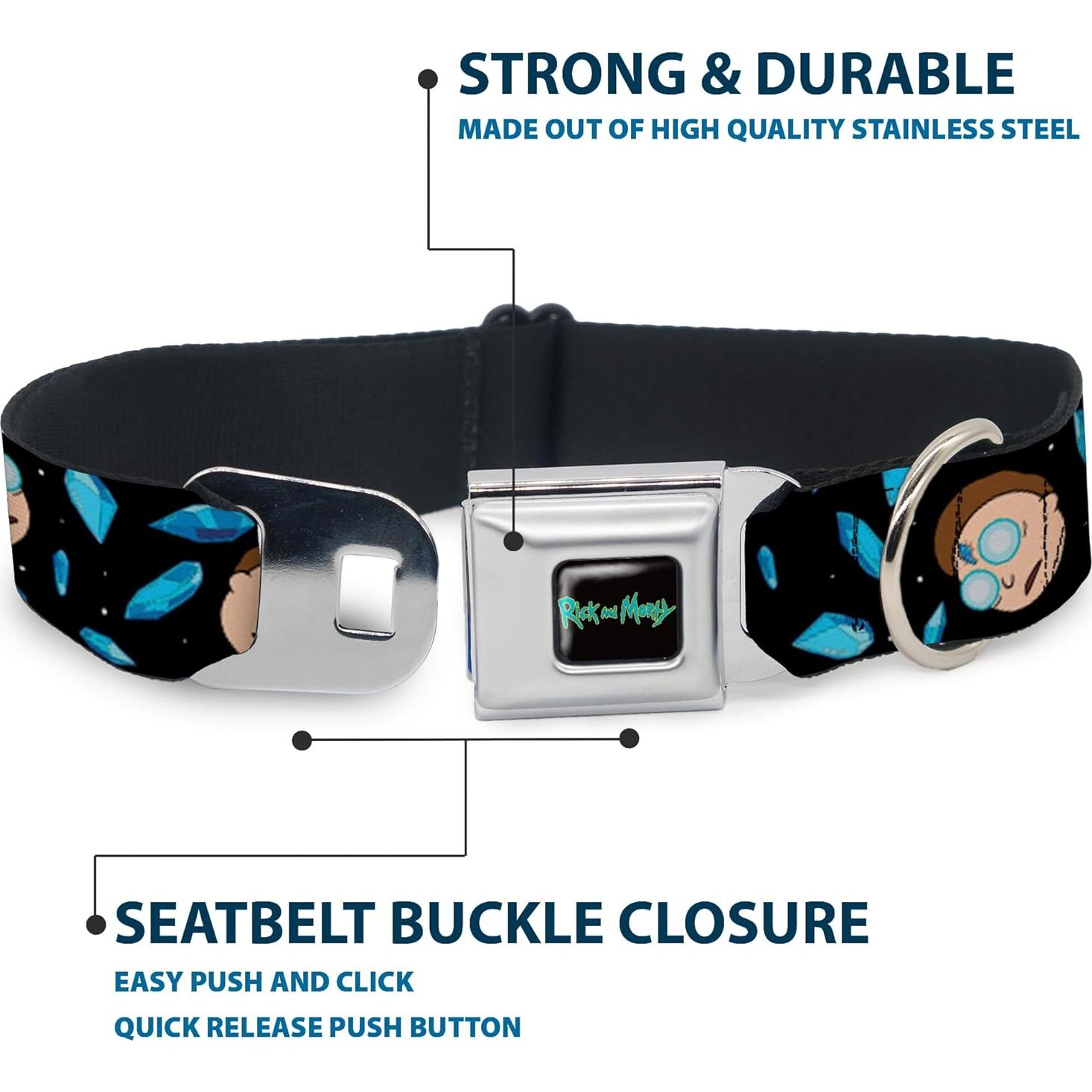 Collar para Perro Rick y Morty - Hebilla Seguridad Miniatura 24.1-33 cm