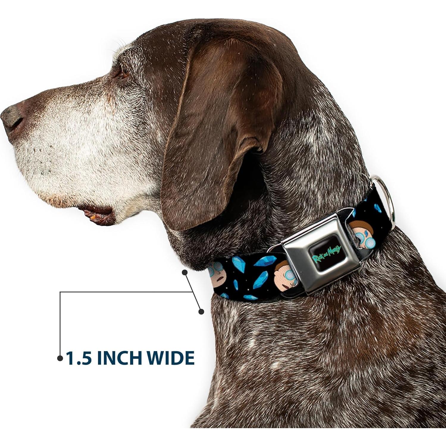 Collar para Perro Rick y Morty - Hebilla Seguridad Miniatura 24.1-33 cm