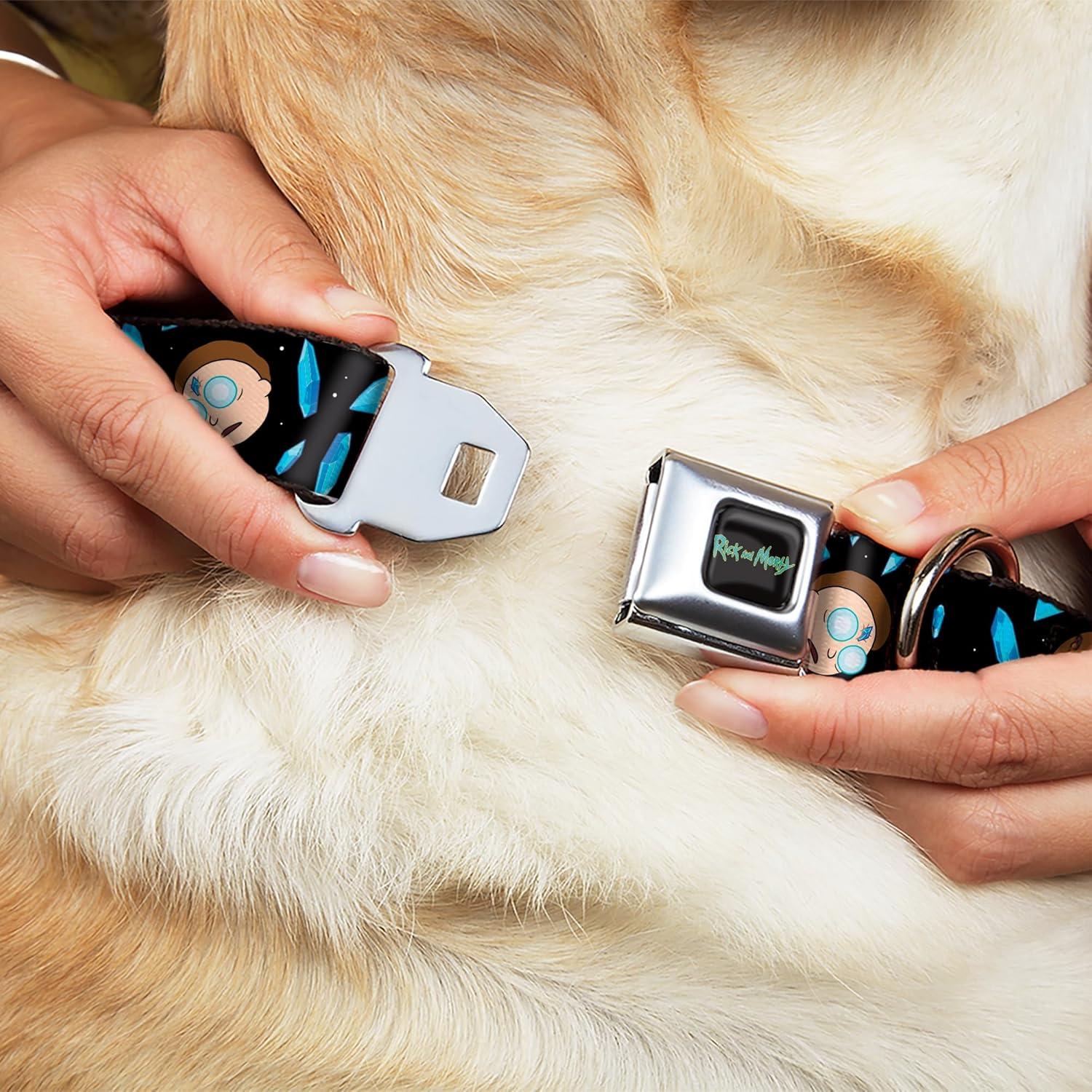 Collar para Perro Rick y Morty - Hebilla Seguridad Miniatura 24.1-33 cm