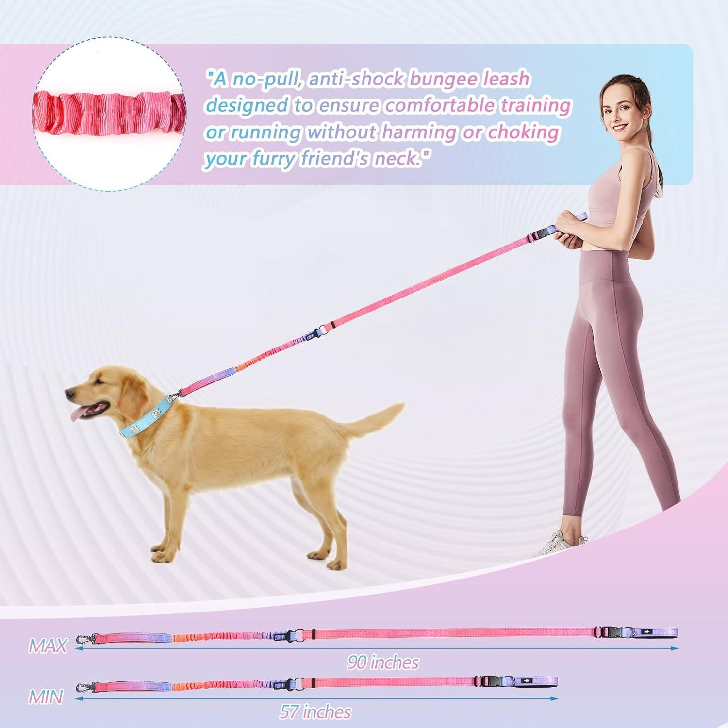 Correa Bungee para Perros LAETUSKID 1.22-1.83m Reflectante