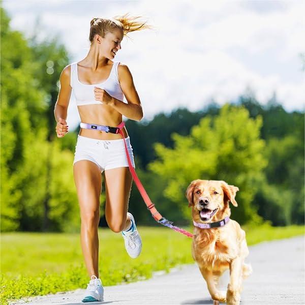 Correa Bungee para Perros LAETUSKID 1.22-1.83m Reflectante