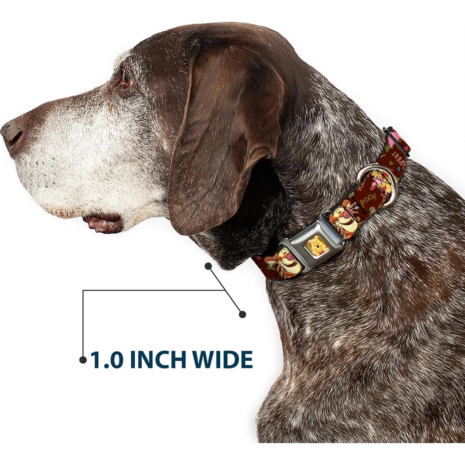 Collar de Perro Buckle-Down Mickey Mouse 40.64-58.42 cm 3.81 cm Ancho