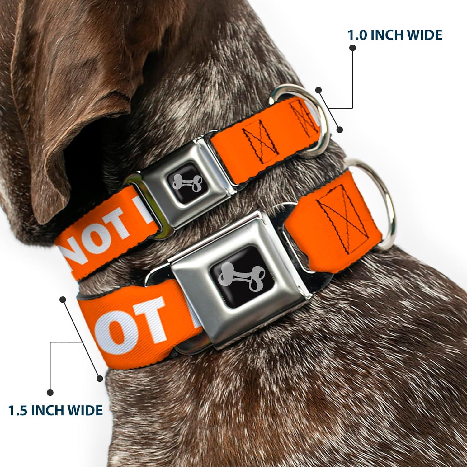 Collar de Perro Buckle-Down Naranja 20-31" (50.8-78.74 cm)