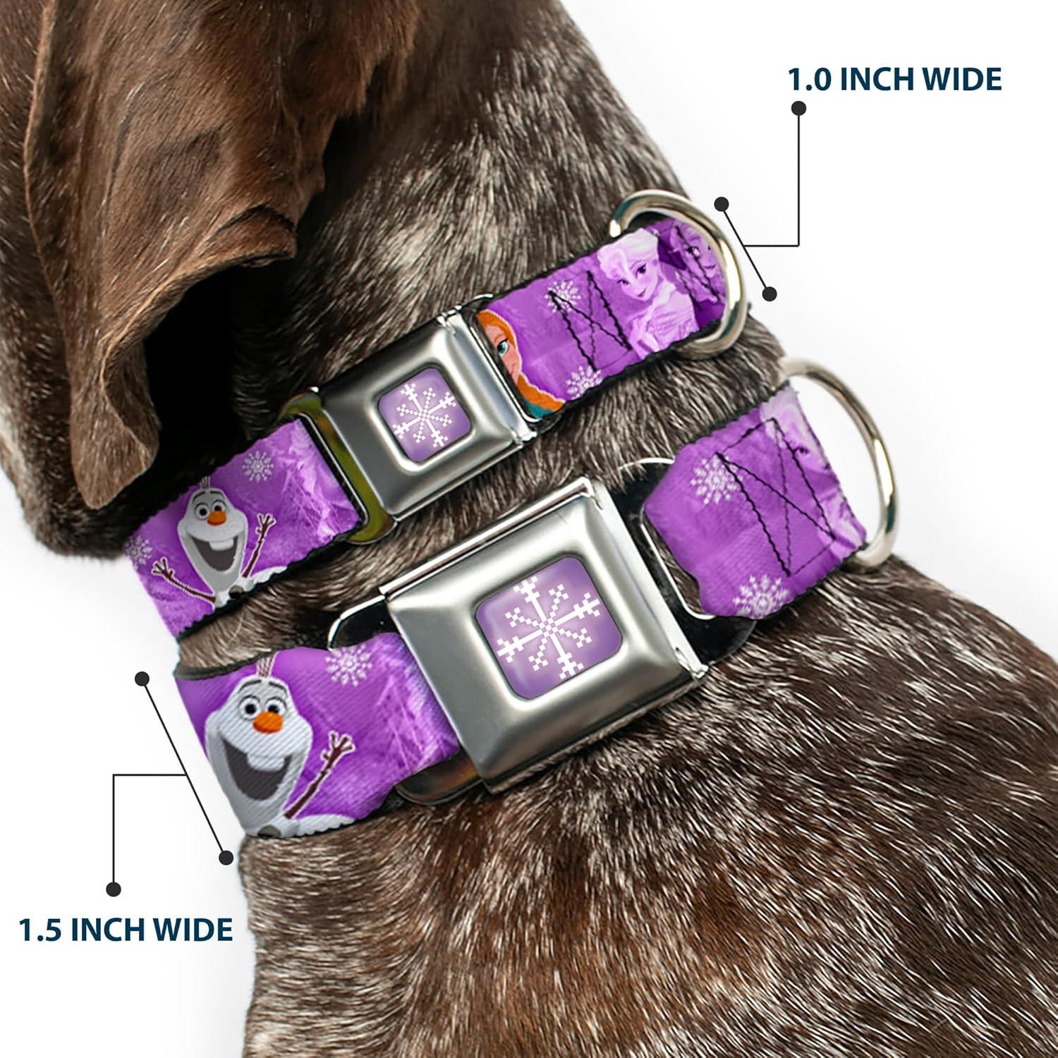 Collar de Perro Buckle-Down Disney Frozen 22.86-38.1 cm