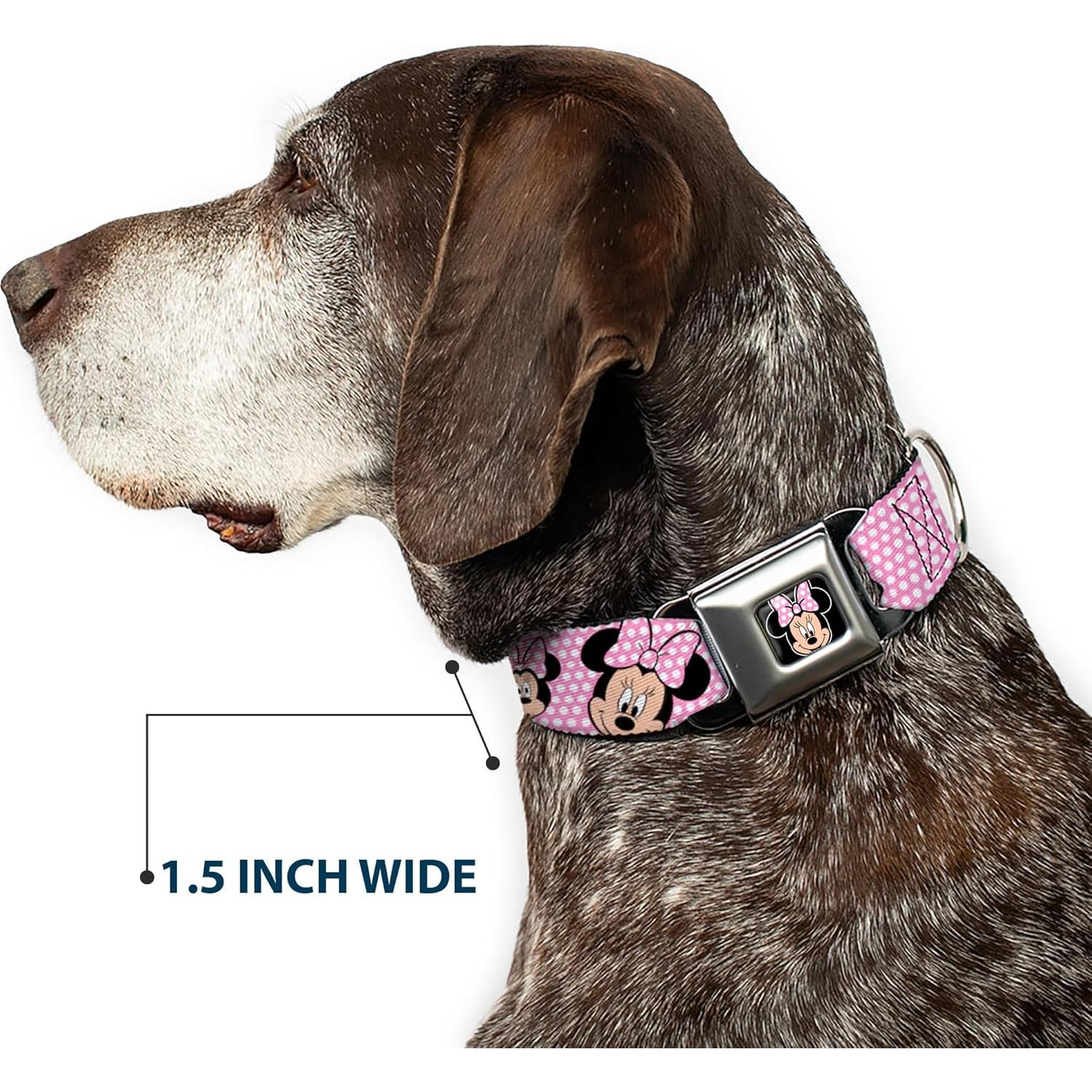 Collar para Perro Buckle-Down Minnie Mouse Rosa 3.81 cm Ancho