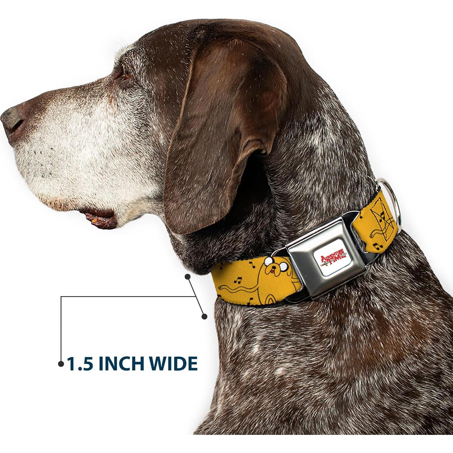 Collar para perro Cartoon Network Buckle-Down 15-24" (38-61 cm)