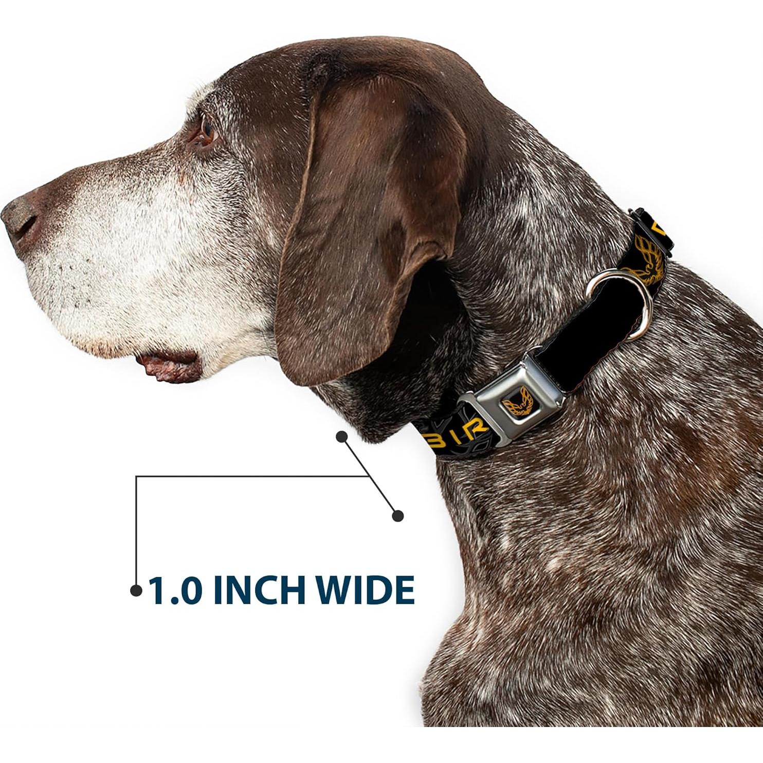 Collar de Perro Buckle-Down Pontiac Firebird 40.64-58.42 cm