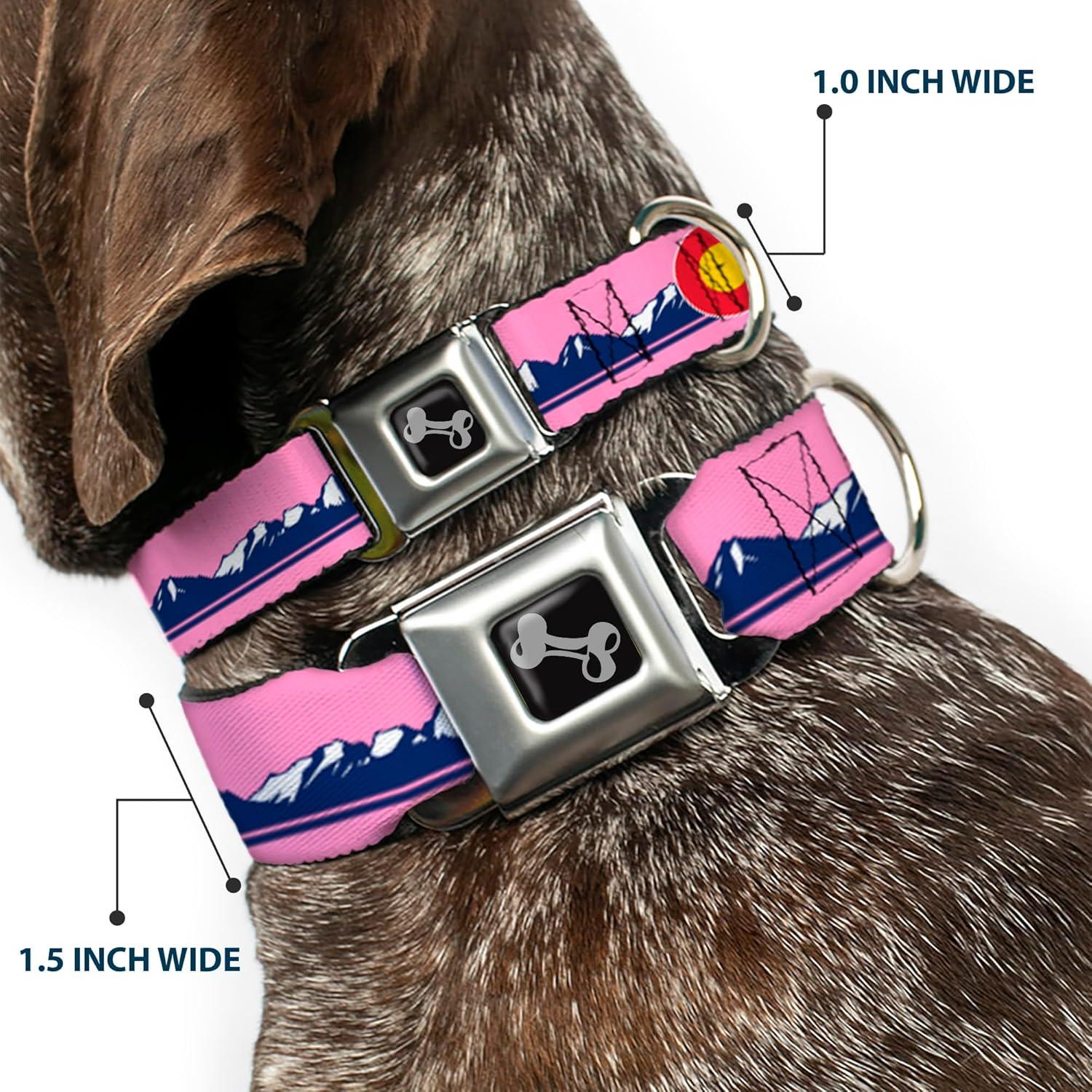 Collar de Perro Buckle-Down, Hebilla de Seguridad, 38-61 cm
