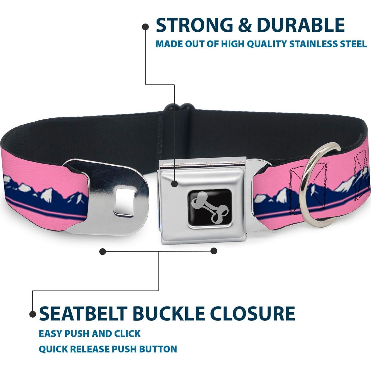 Collar de Perro Buckle-Down, Hebilla de Seguridad, 38-61 cm