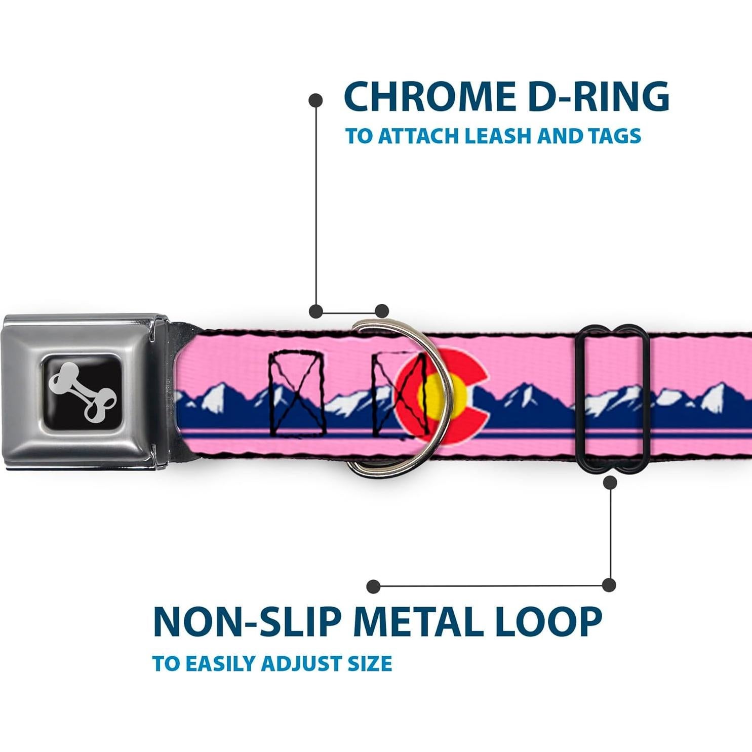 Collar de Perro Buckle-Down, Hebilla de Seguridad, 38-61 cm