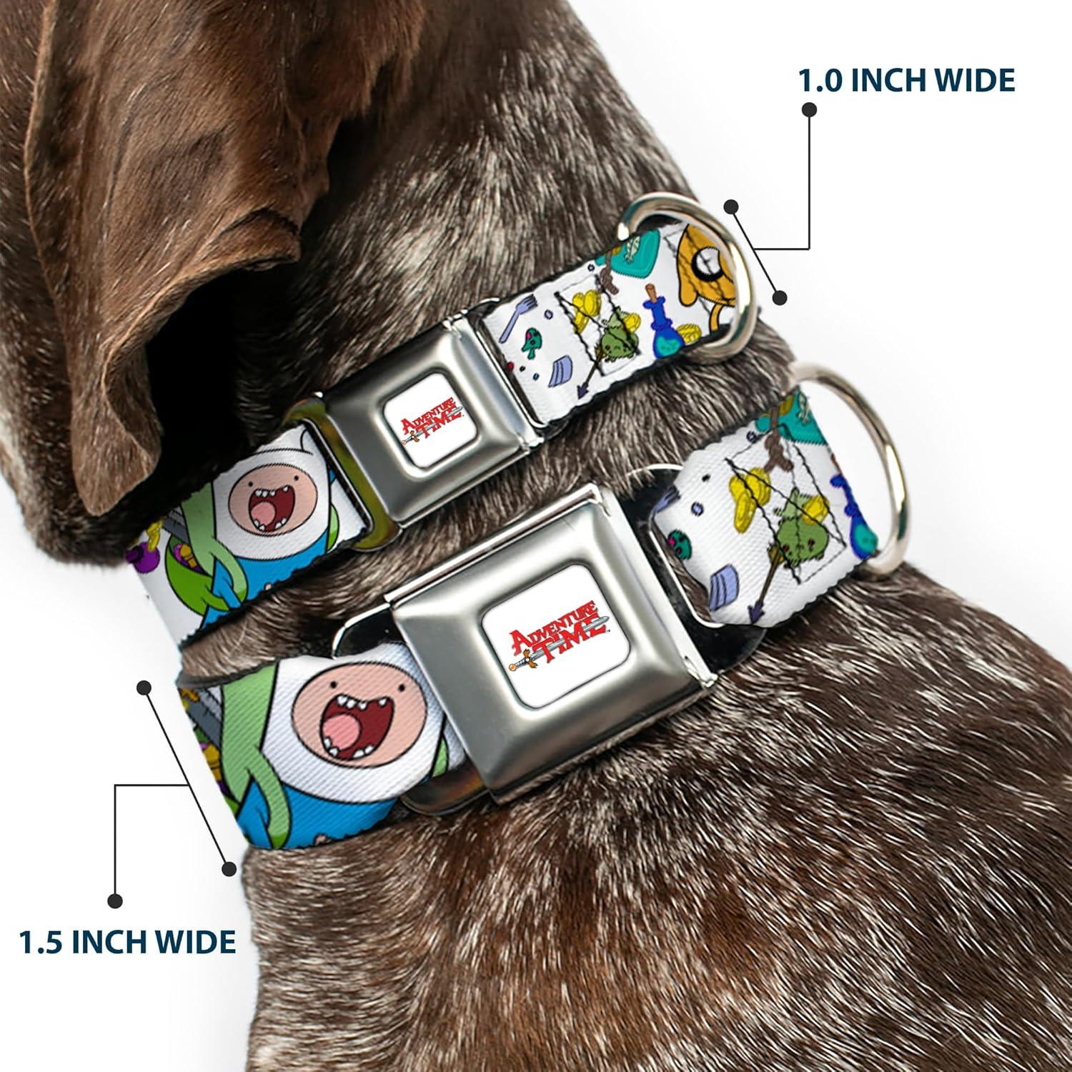 Collar para perro de cinturón de seguridad Buckle-Down 28-42 cm