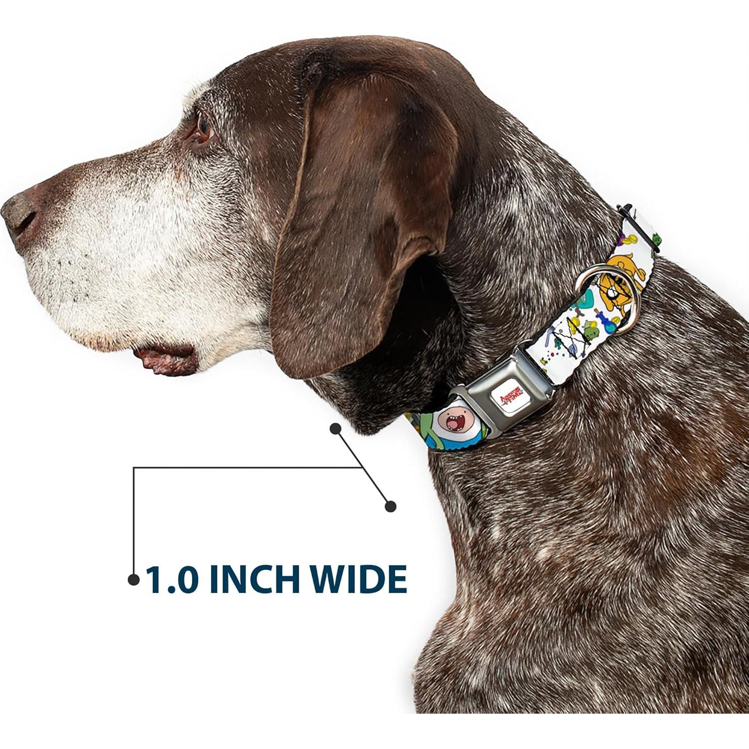 Collar para perro de cinturón de seguridad Buckle-Down 28-42 cm