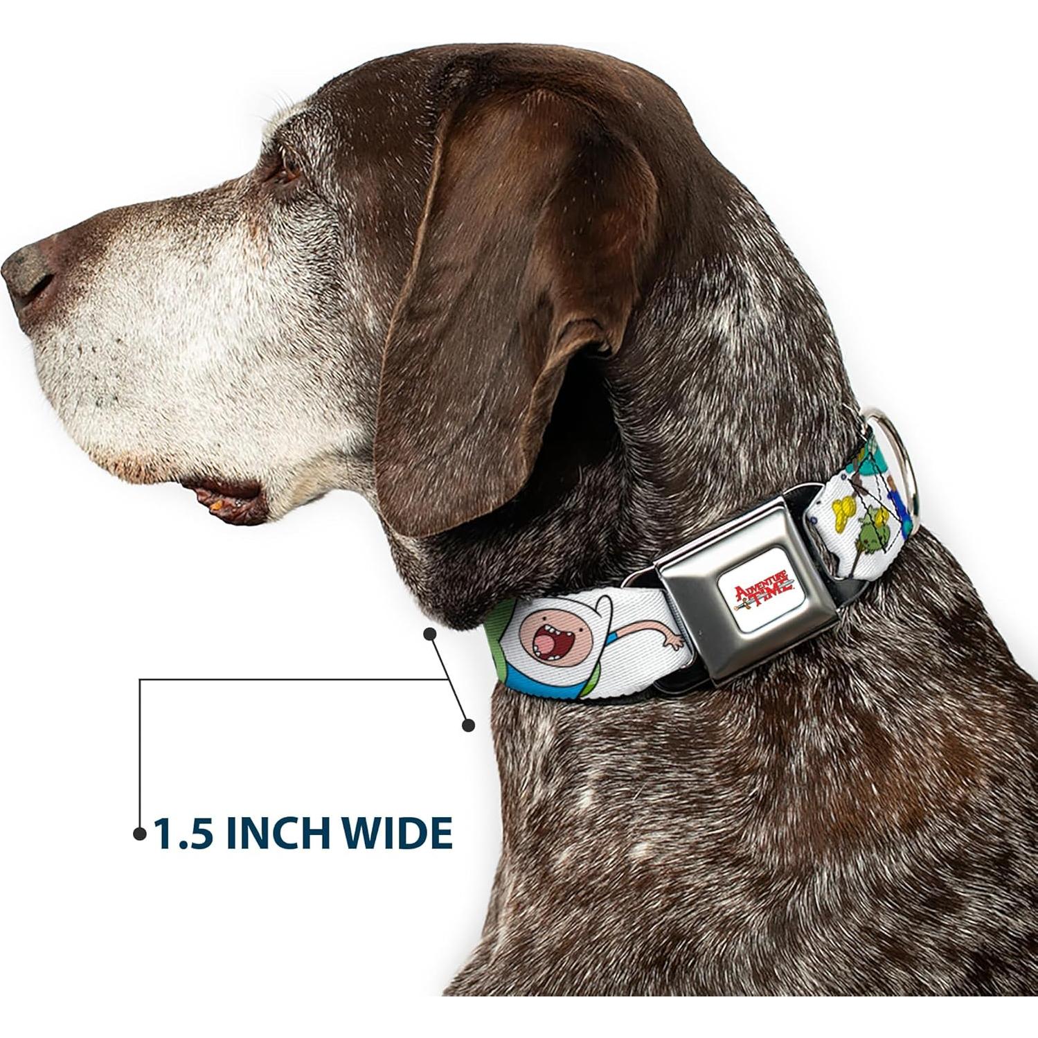 Collar para perro de cinturón de seguridad Buckle-Down 28-42 cm