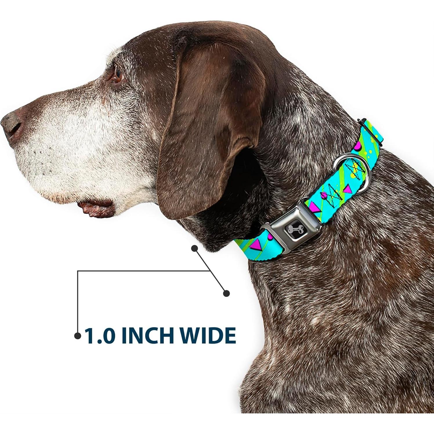 Collar para Perro Buckle-Down Grande 38-66 cm Azul/Rosa