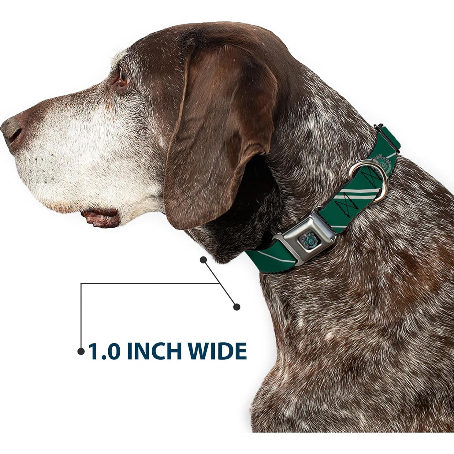 Collar para Perros Warner Bros. Slytherin 38-61 cm Verde