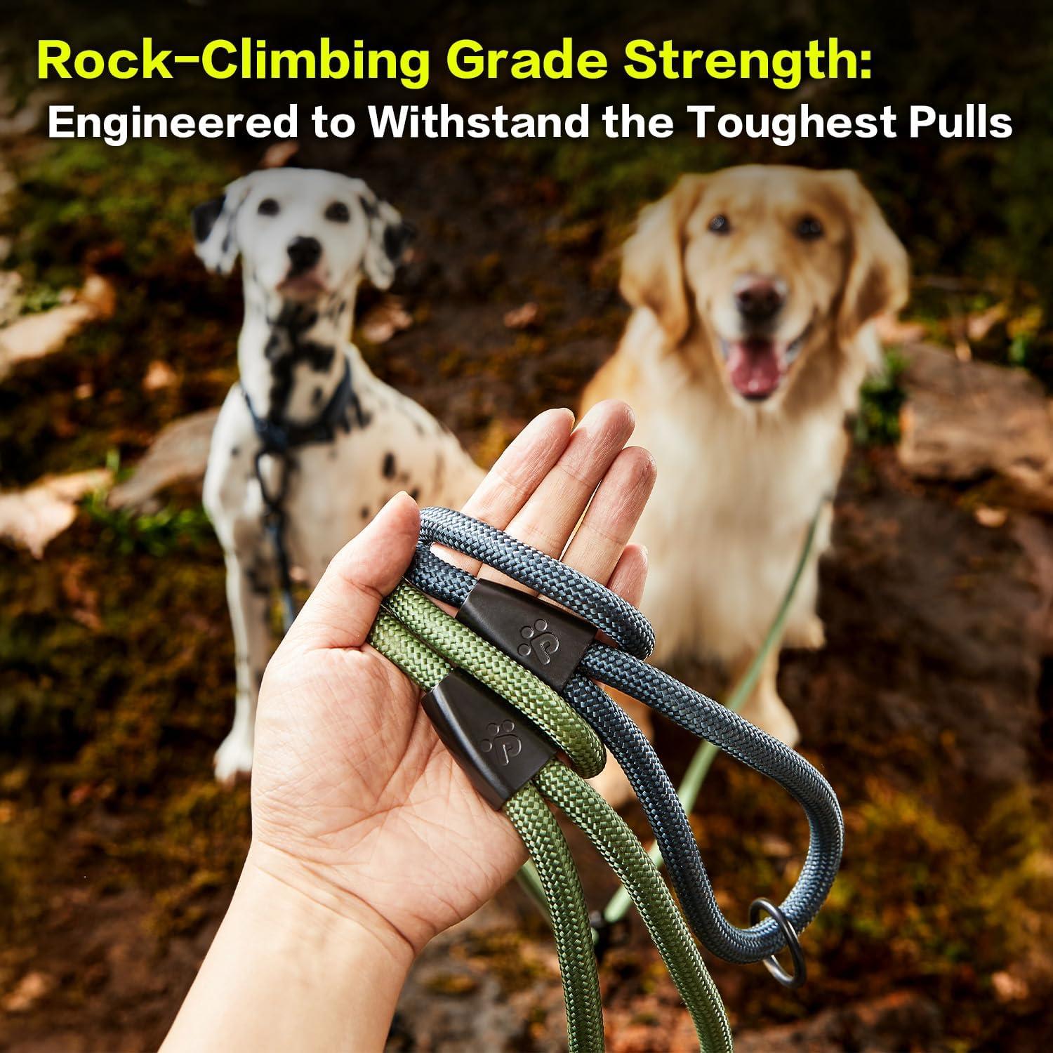 Correa para Perros PawsPassion 1.83m Verde Bosque 2-en-1