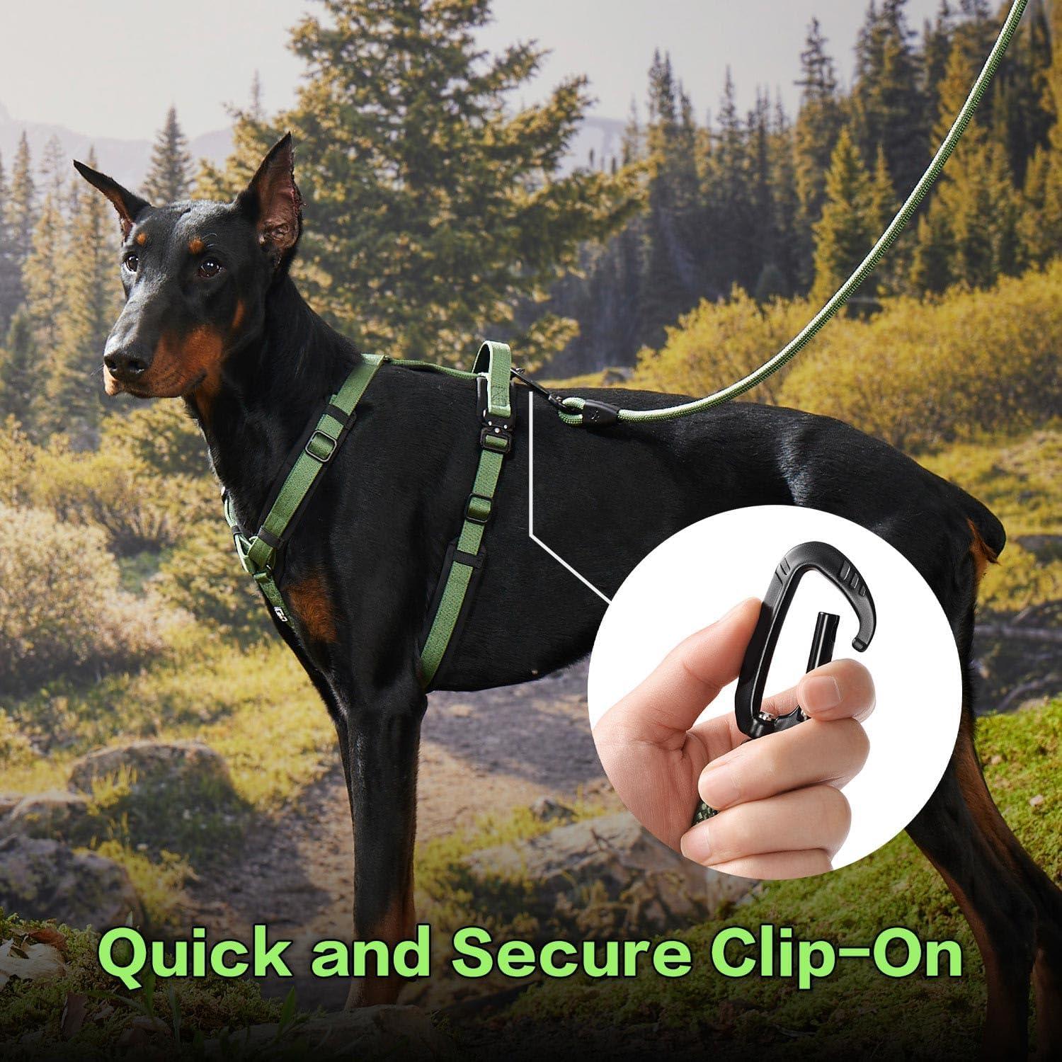 Correa para Perros PawsPassion 1.83m Verde Bosque 2-en-1