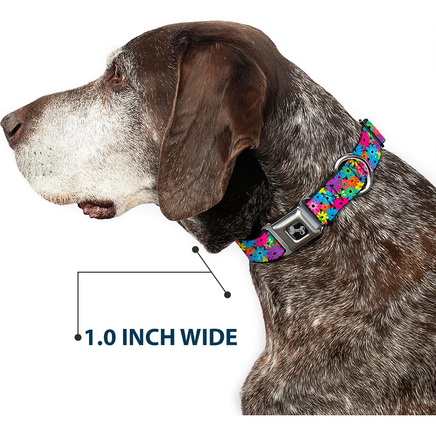Collar de Perro Buckle-Down Mediano 2.54 cm Ancho Ajustable