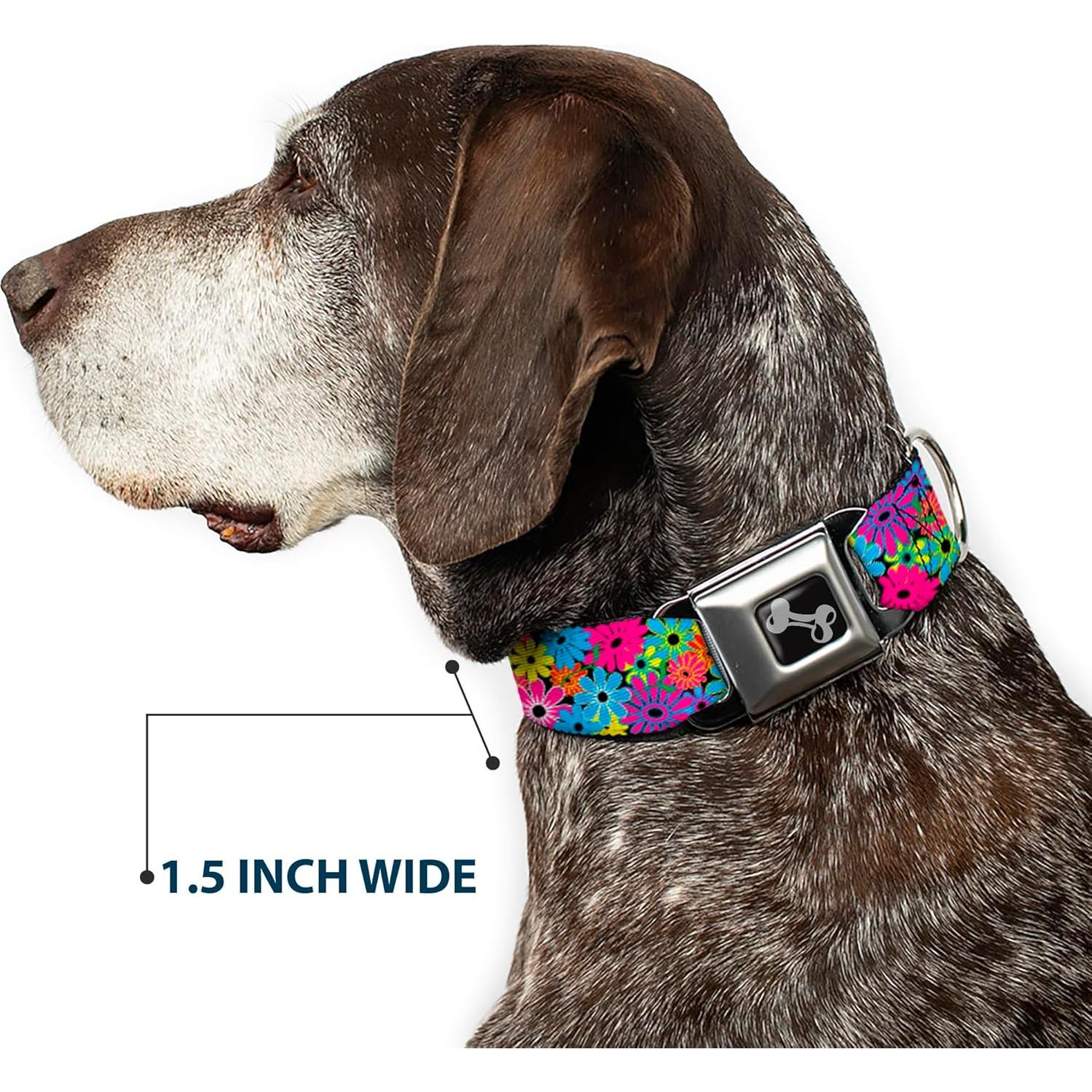 Collar de Perro Buckle-Down Mediano 2.54 cm Ancho Ajustable