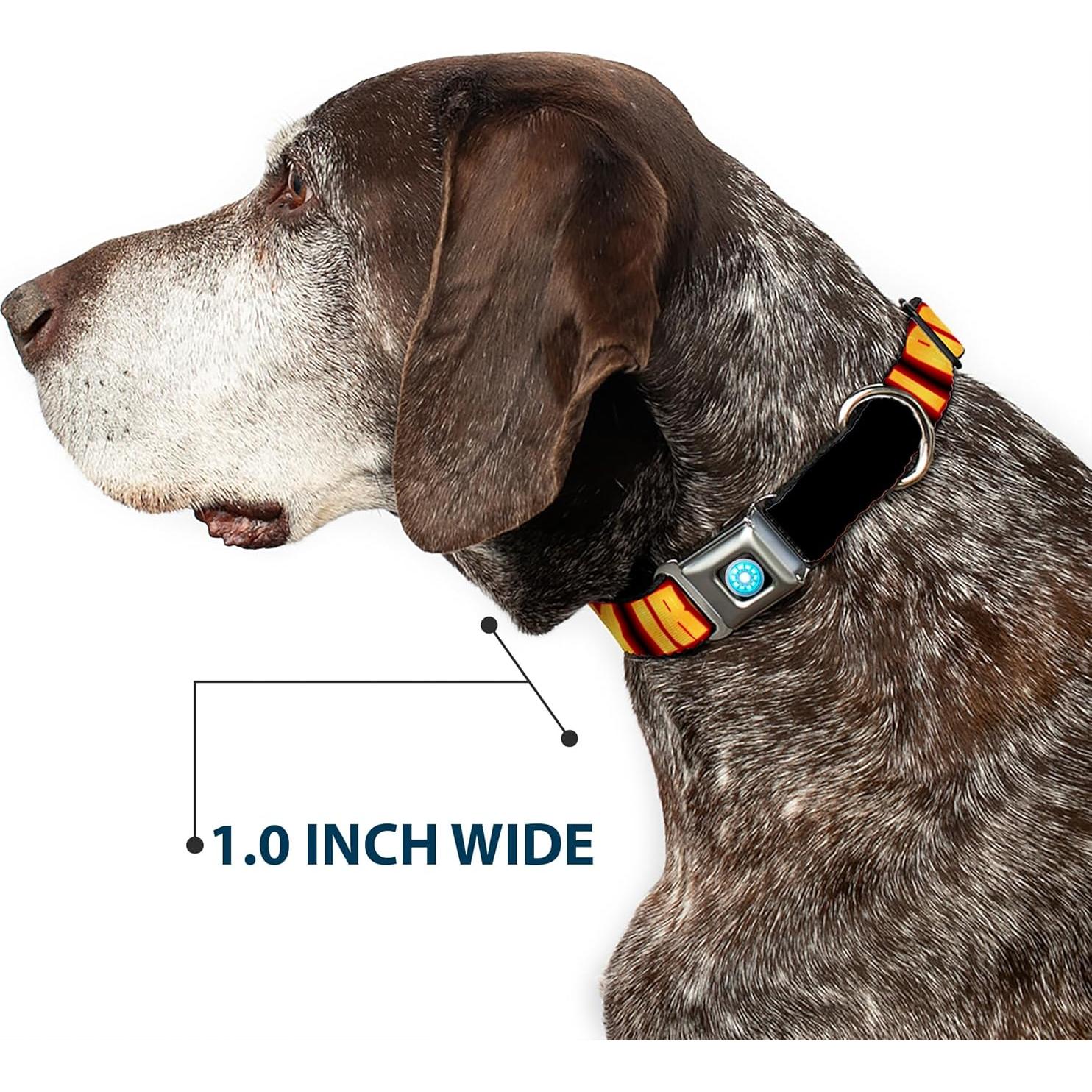 Collar de Perro Buckle-Down Iron Man 2.54 cm Ajustable Mediano