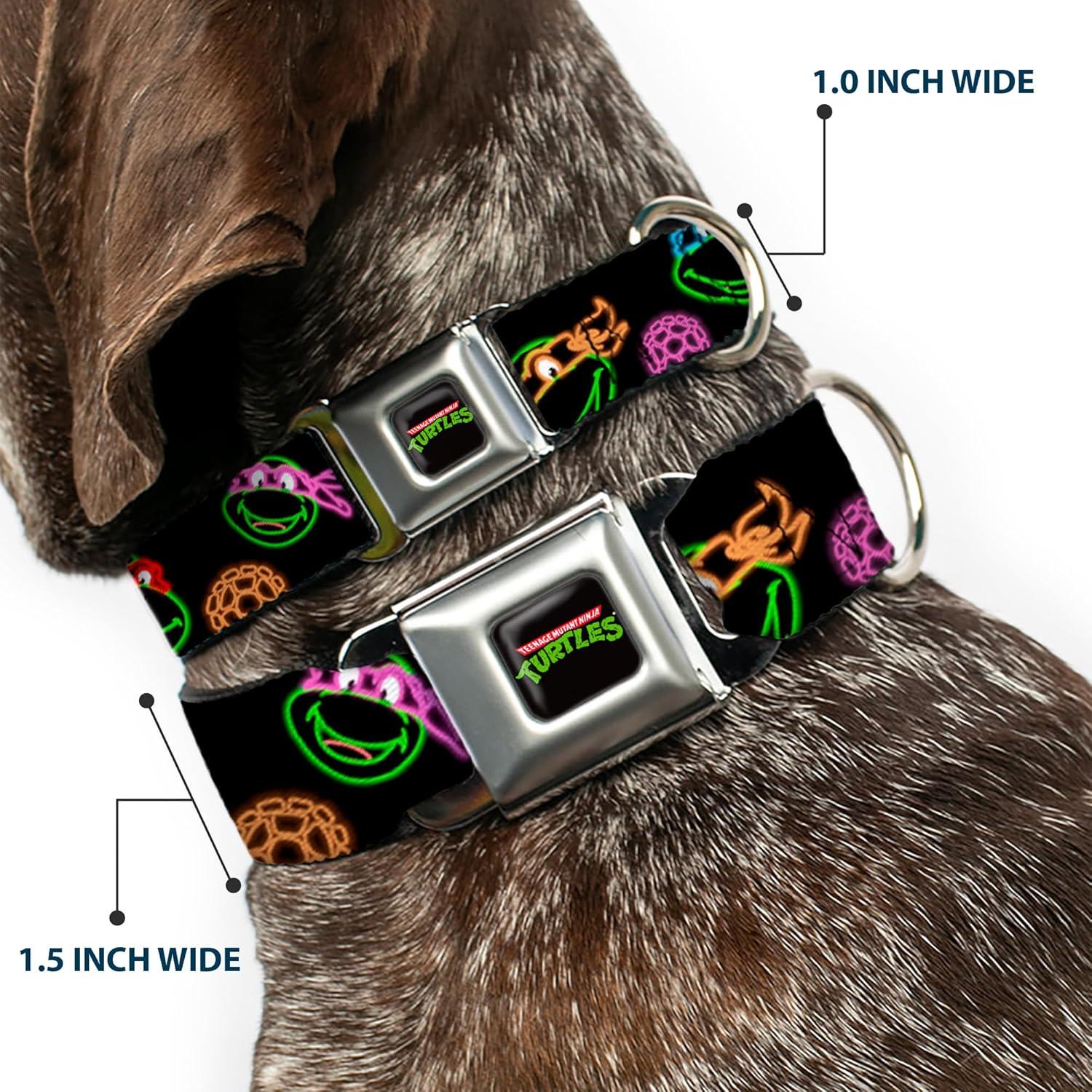 Collar para Perro Buckle-Down TMNT Neón 2.54 cm Ancho 23-38 cm