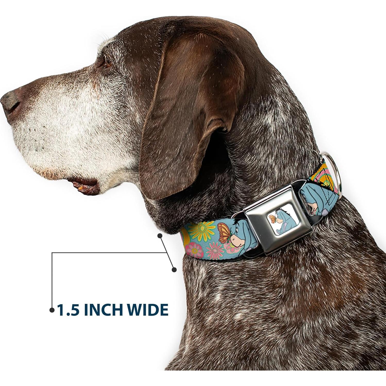 Collar para Perros Disney Buckle-Down Winnie Pooh 38-61 cm