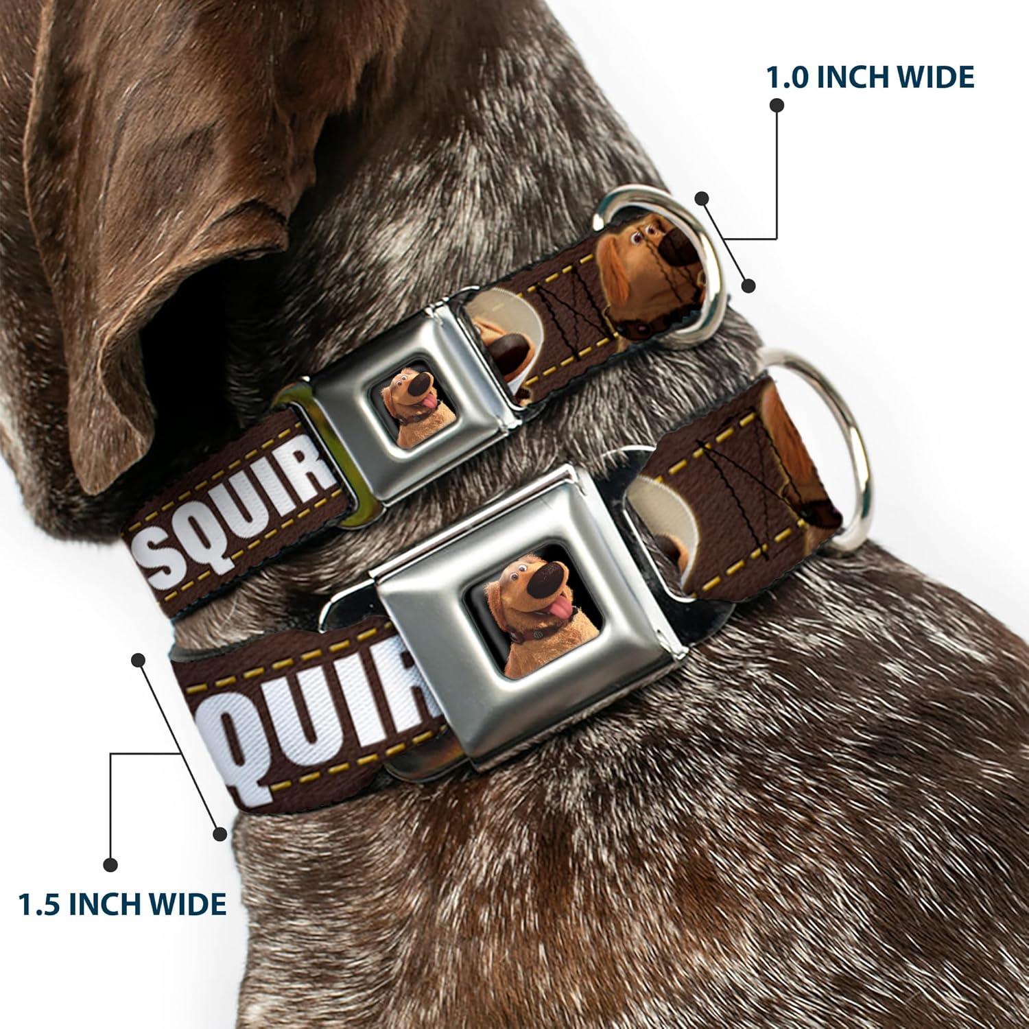 Collar de Perro Buckle-Down Dug 3 Poses 15-66 cm Marrón Amarillo Blanco