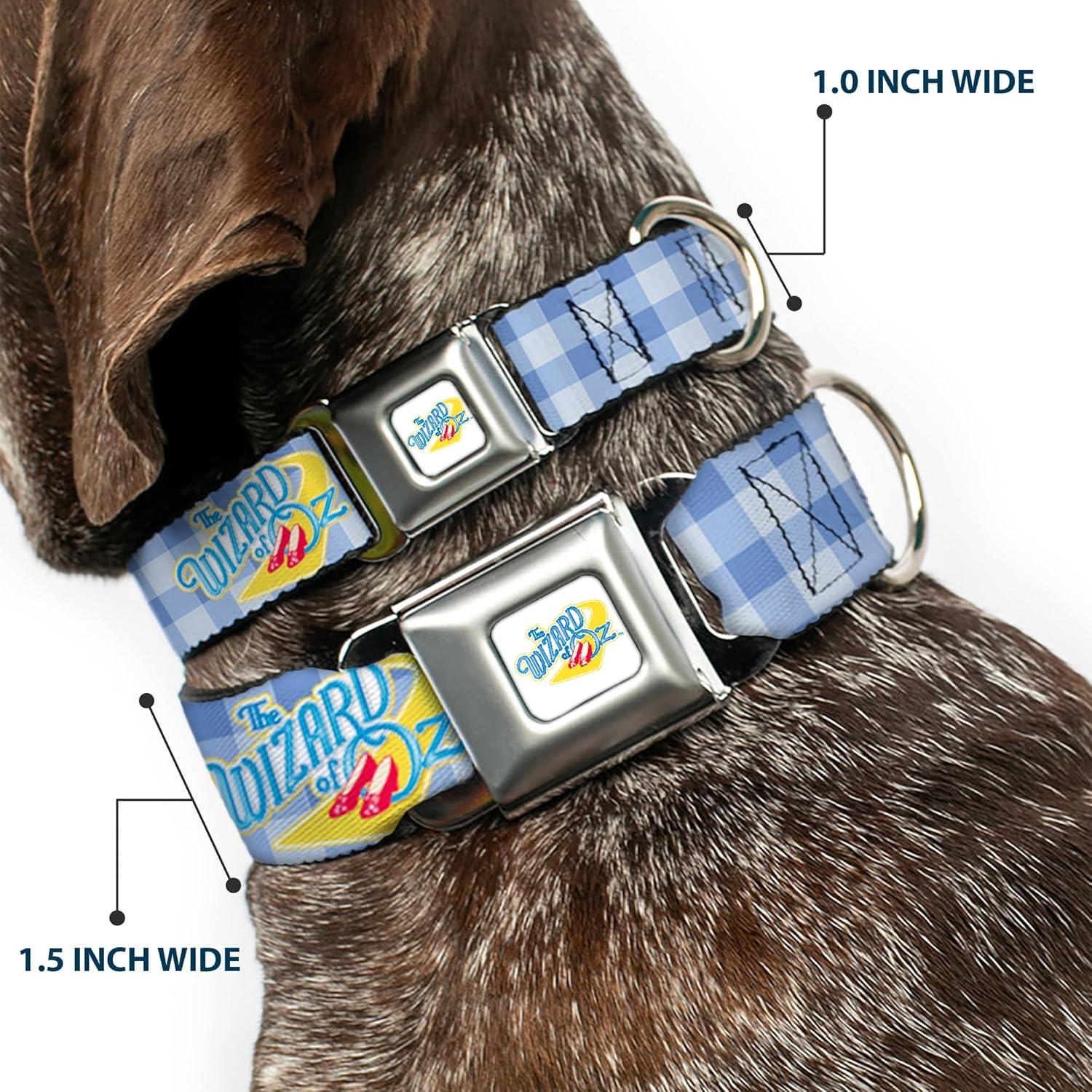 Collar para Perros Buckle-Down El Mago de Oz 27.94-41.91 cm