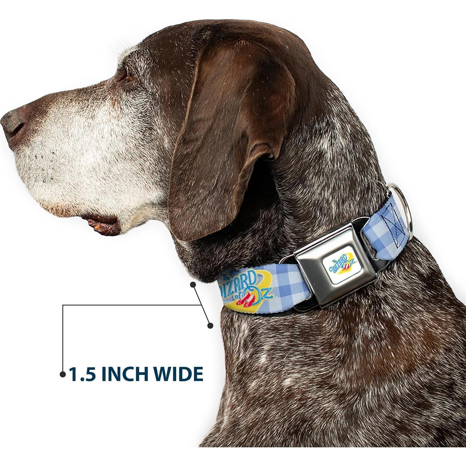 Collar para Perros Buckle-Down El Mago de Oz 27.94-41.91 cm