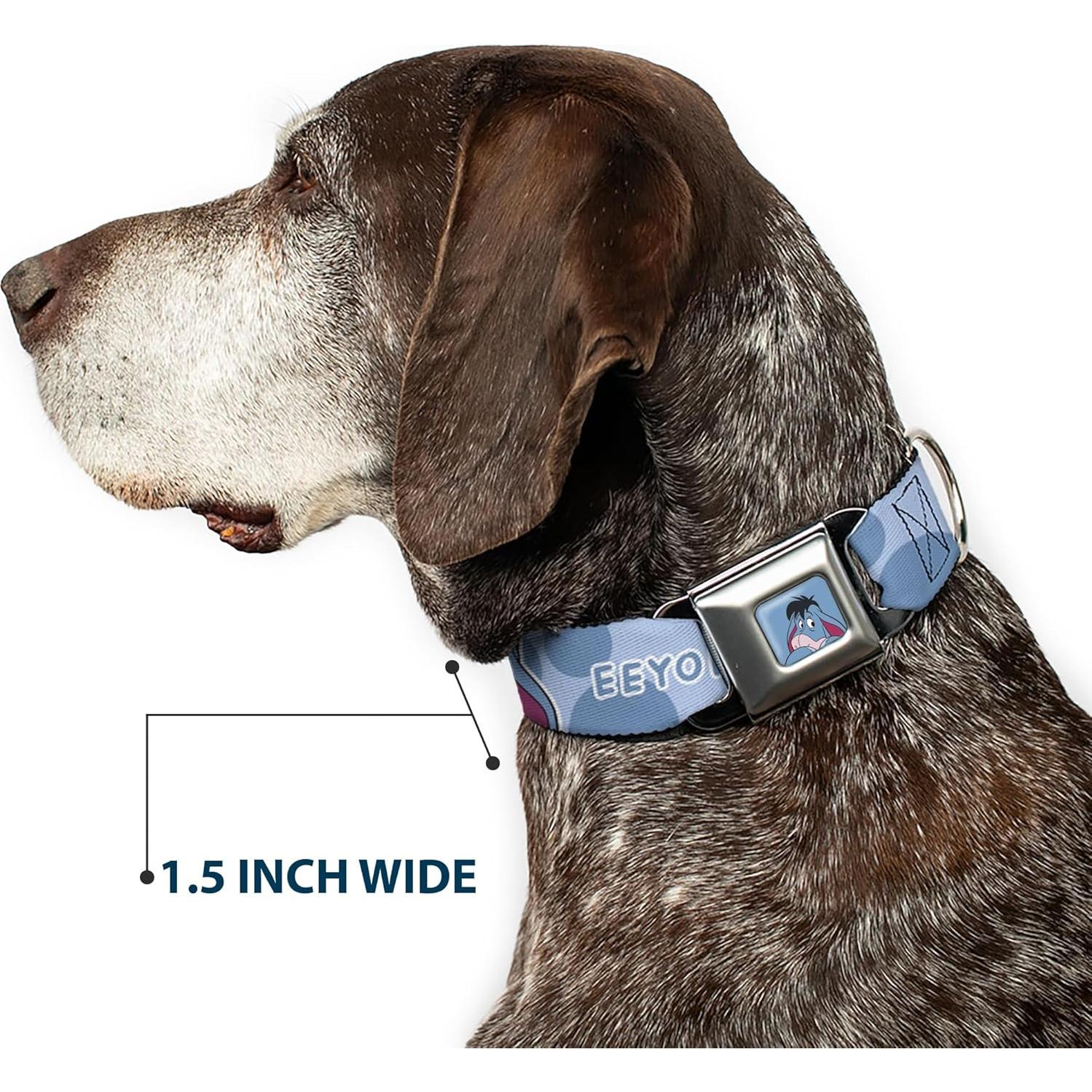 Collar para Perros Disney Buckle-Down Winnie Pooh 11-16.5"