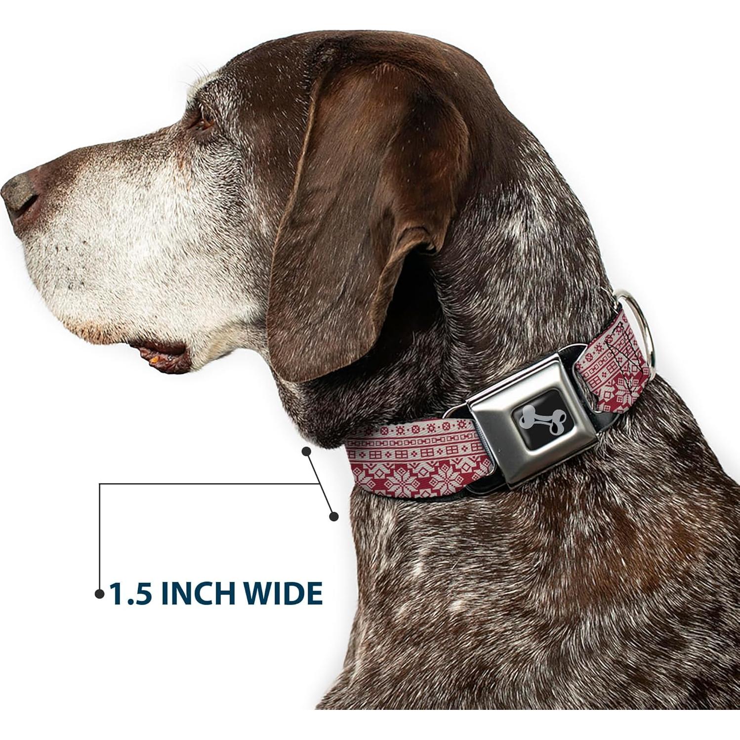 Collar para Perros Buckle-Down 33-43 cm con Hebilla de Seguridad