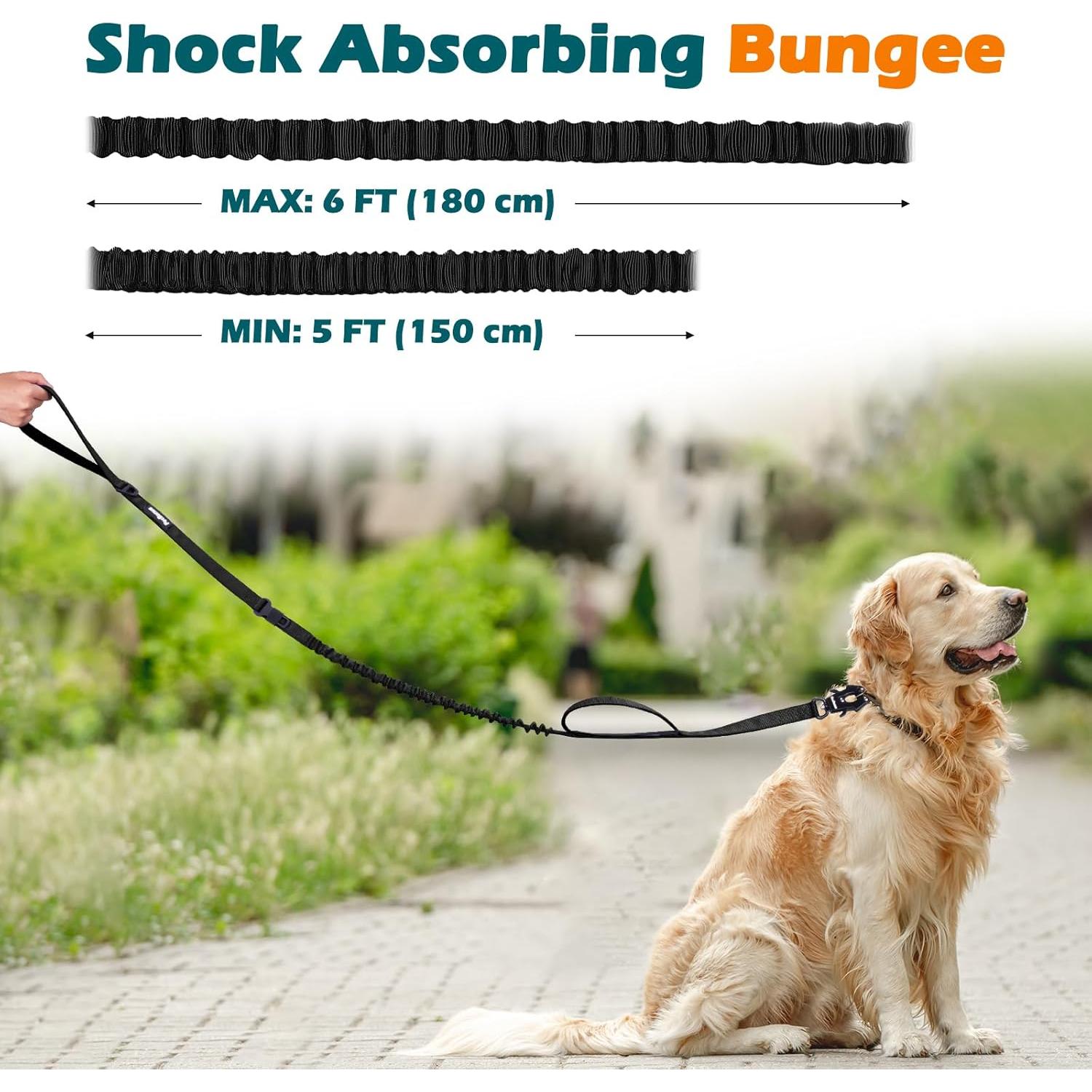 Correa Bungee para Perros PetBonus con 2 Mangos y Cinturón de Seguridad