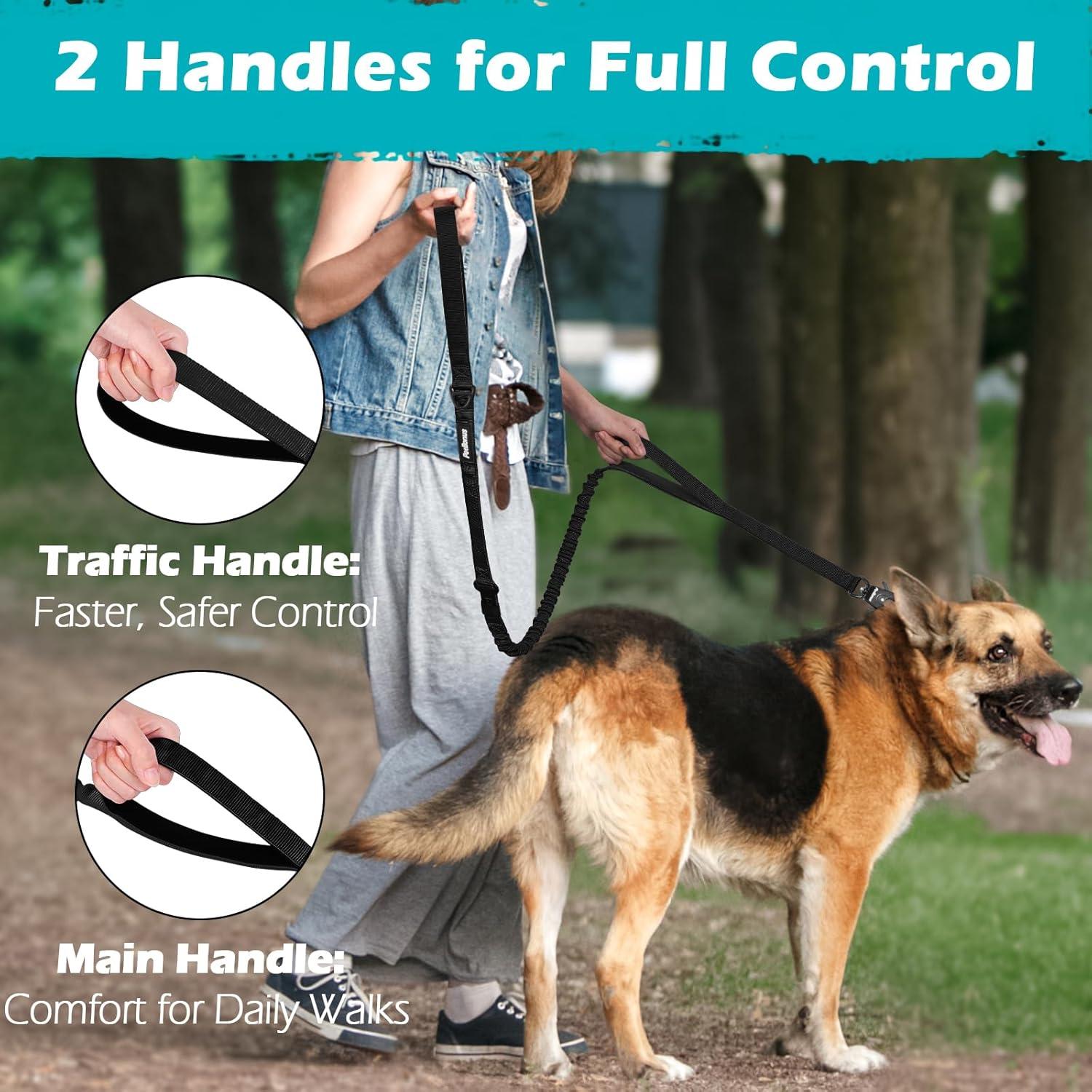 Correa Bungee para Perros PetBonus con 2 Mangos y Cinturón de Seguridad