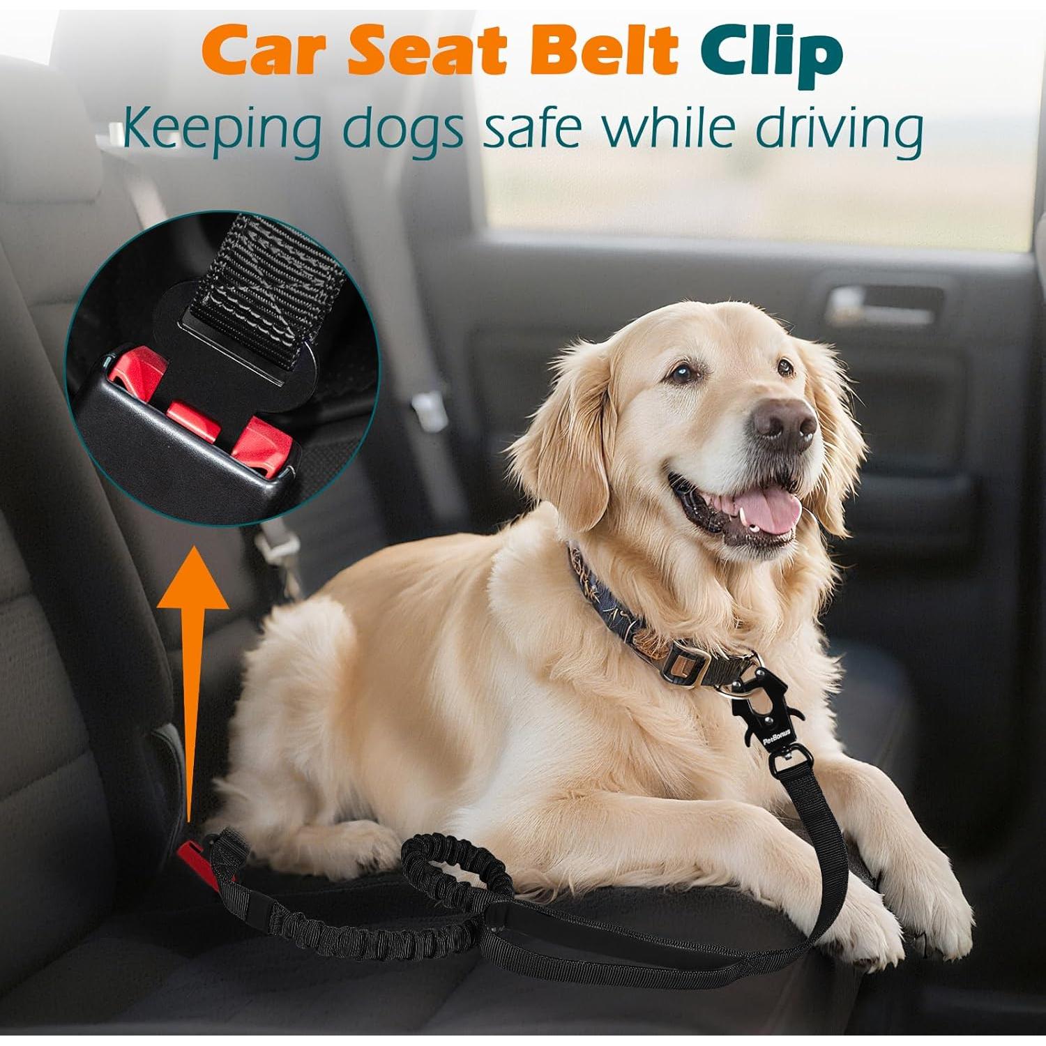 Correa Bungee para Perros PetBonus con 2 Mangos y Cinturón de Seguridad