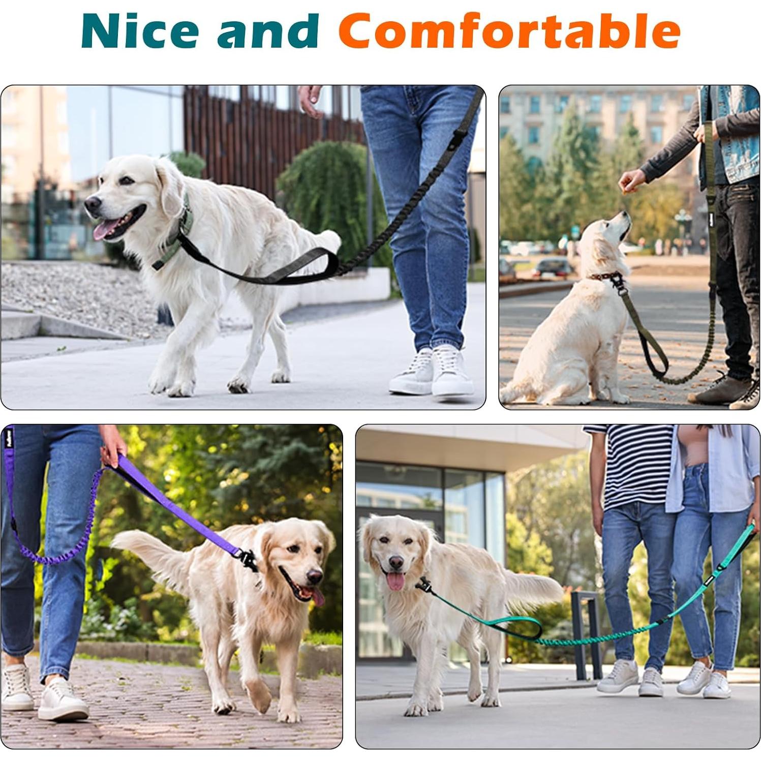 Correa Bungee para Perros PetBonus con 2 Mangos y Cinturón de Seguridad