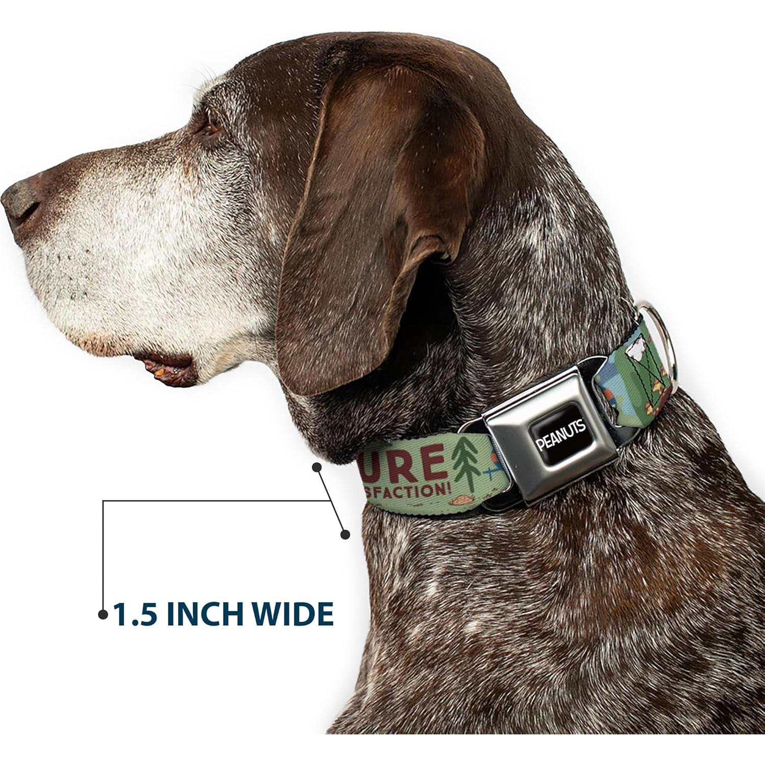 Collar para Perros Peanuts Buckle-Down 24.1-33 cm 2.5 cm Ancho
