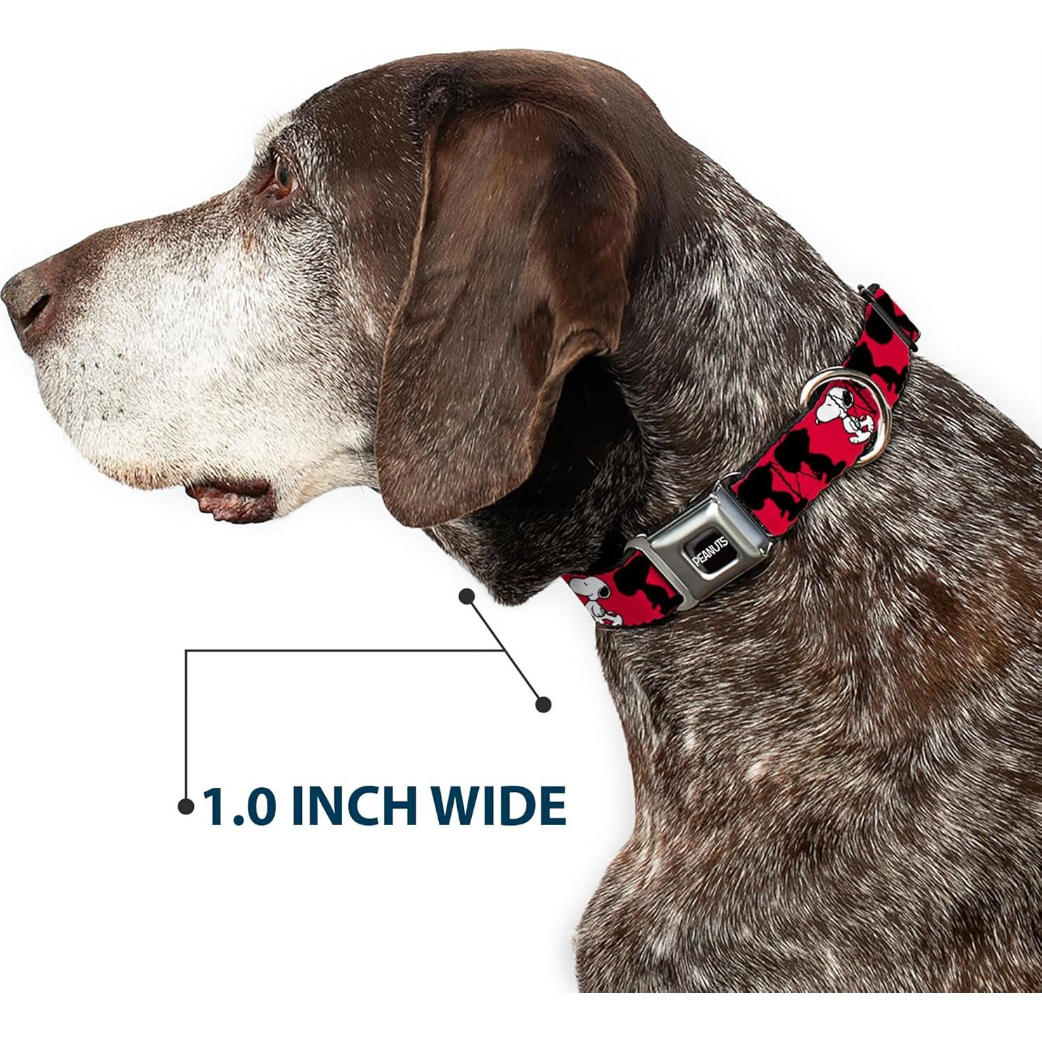 Collar para Perro Peanuts Buckle-Down 33-43 cm Rojo Negro
