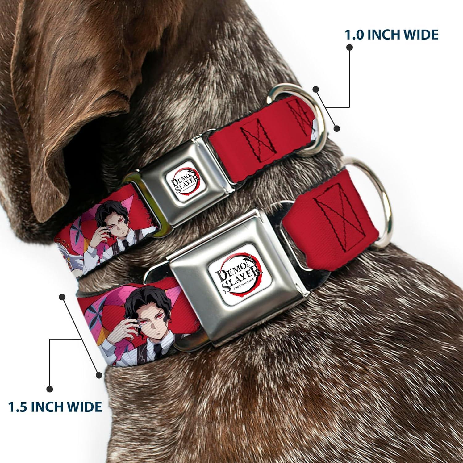 Collar para Perros Aniplex de 24.1 a 33 cm con Hebilla de Seguridad