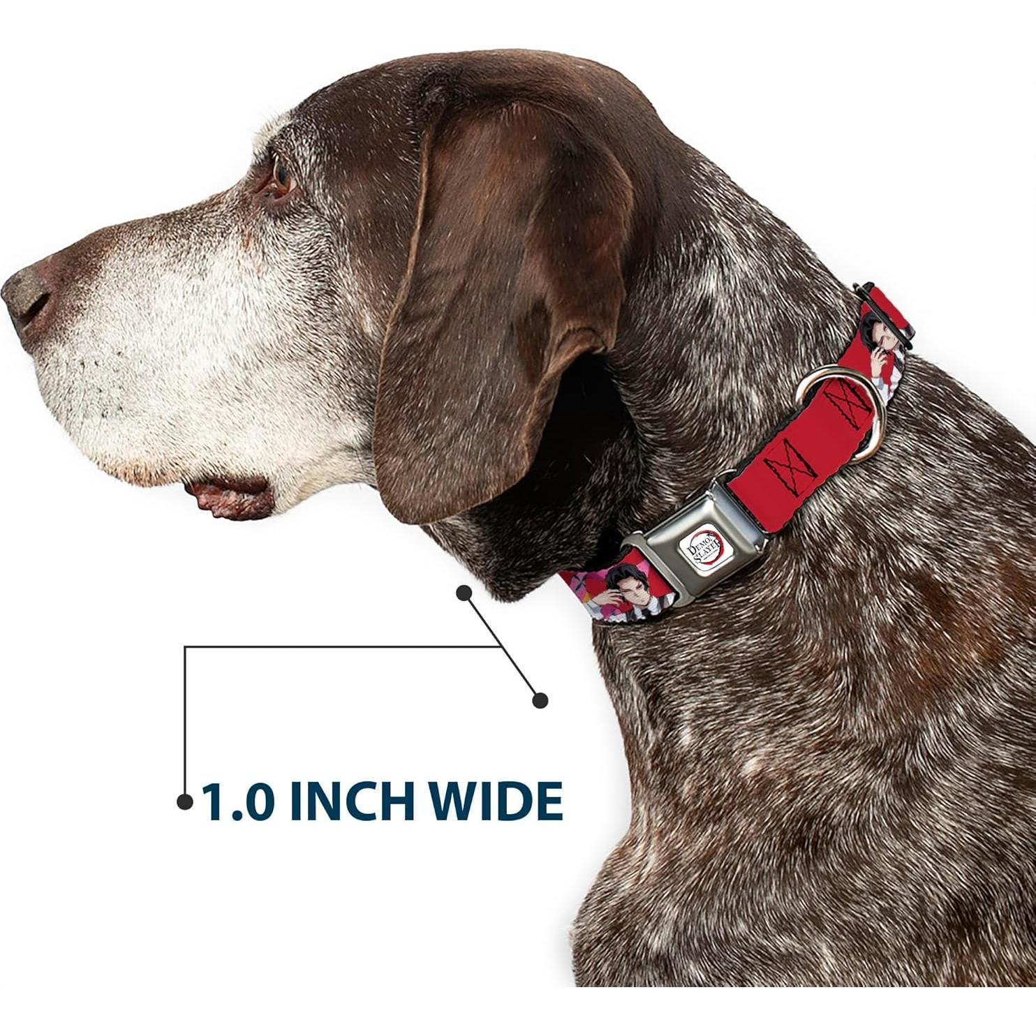 Collar para Perros Aniplex de 24.1 a 33 cm con Hebilla de Seguridad