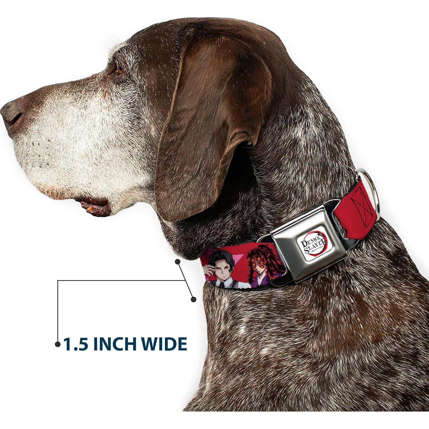 Collar para Perros Aniplex de 24.1 a 33 cm con Hebilla de Seguridad