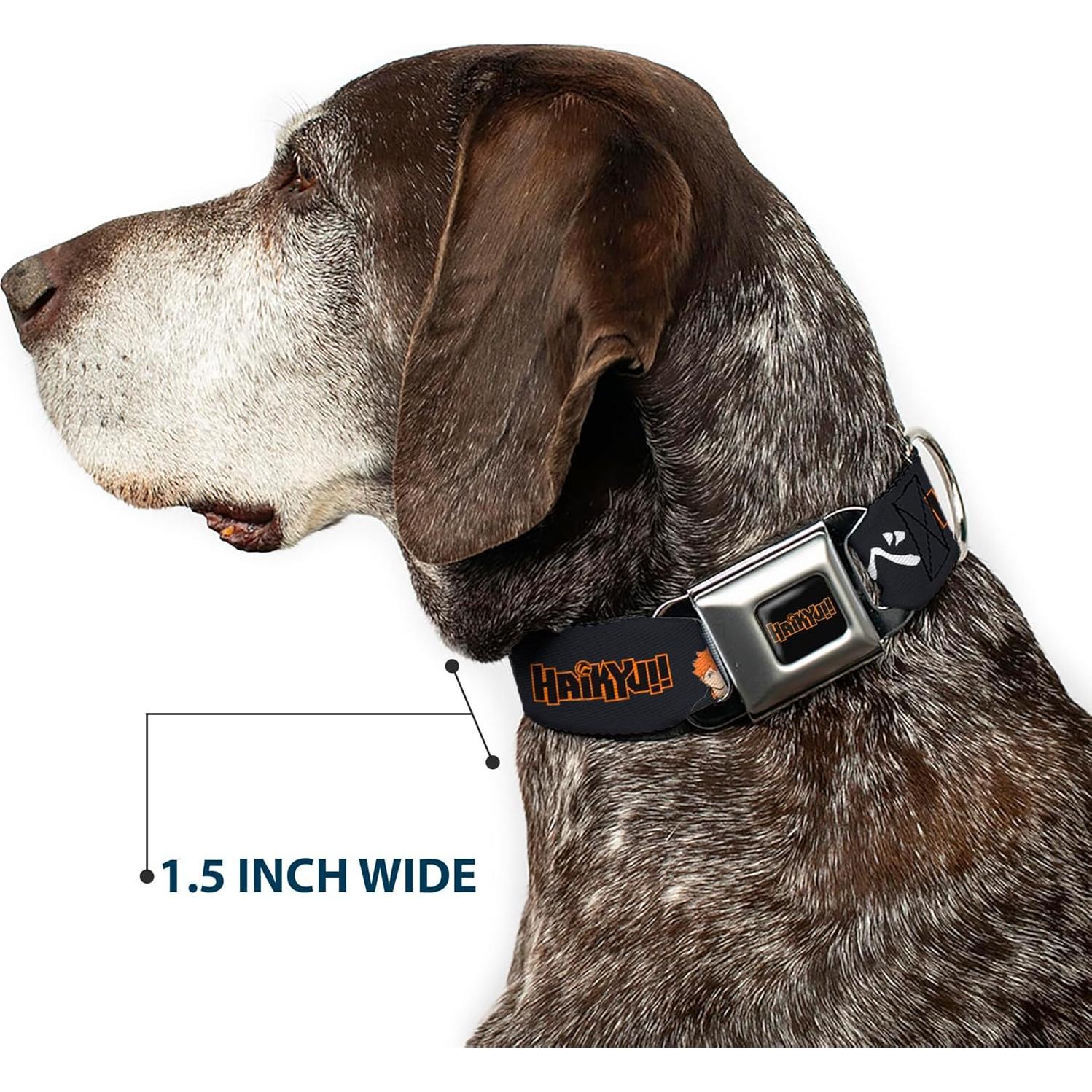 Collar para Perro Crunchyroll con Hebilla de Seguridad 38-61 cm
