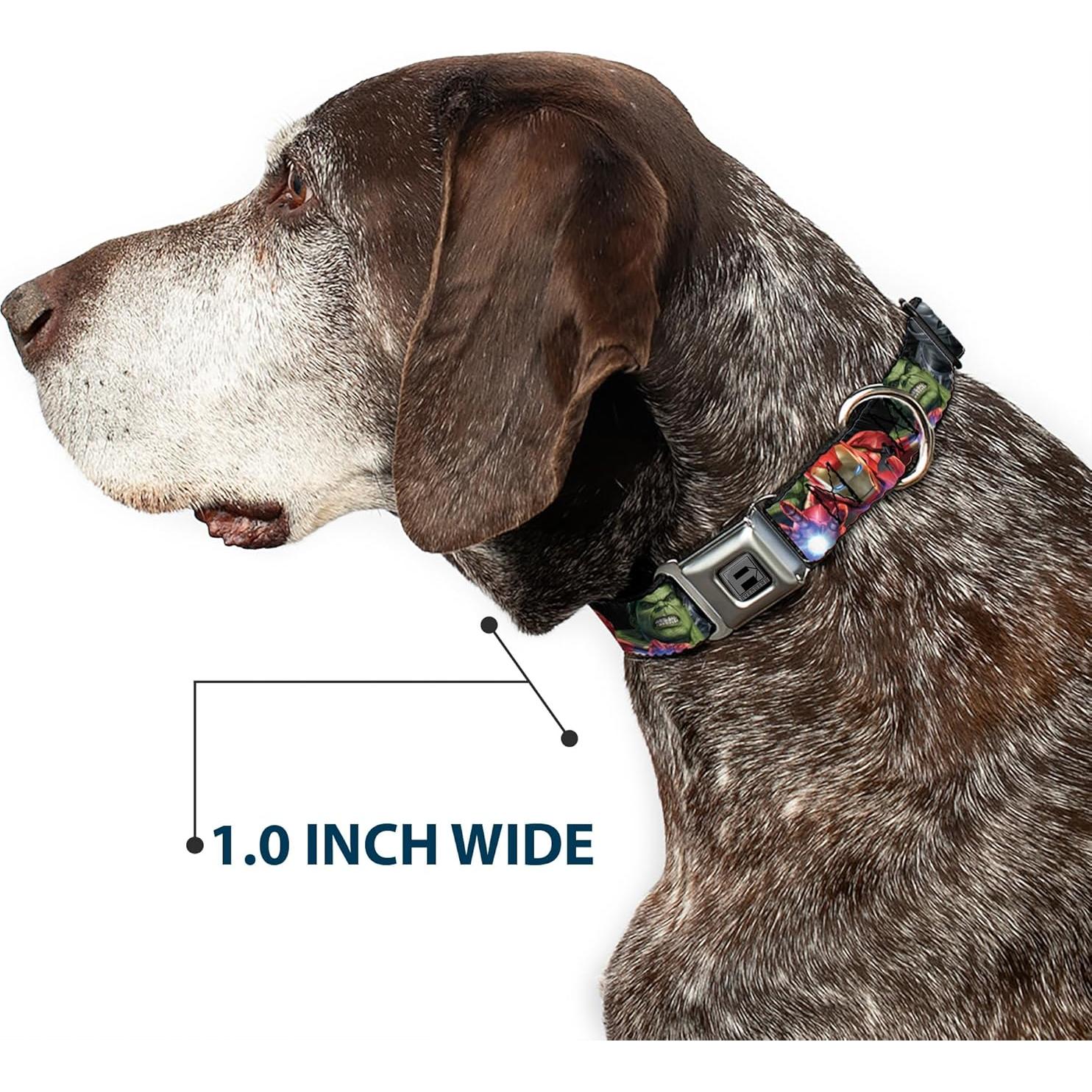 Collar de Perro Buckle-Down Marvel 9-15" (22.86-38.1 cm)