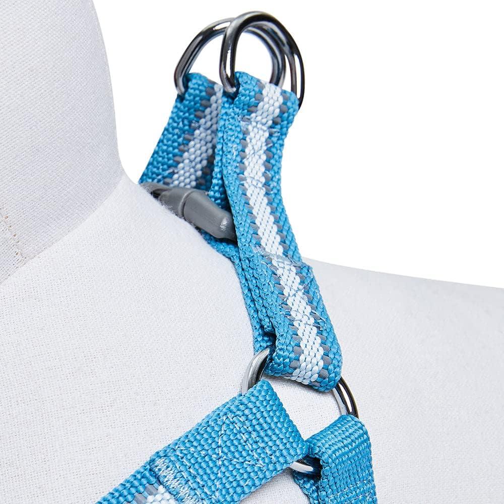 Arnés Reflectante Blueberry Pet Pequeño Azul Cielo 41.91-54.61 cm