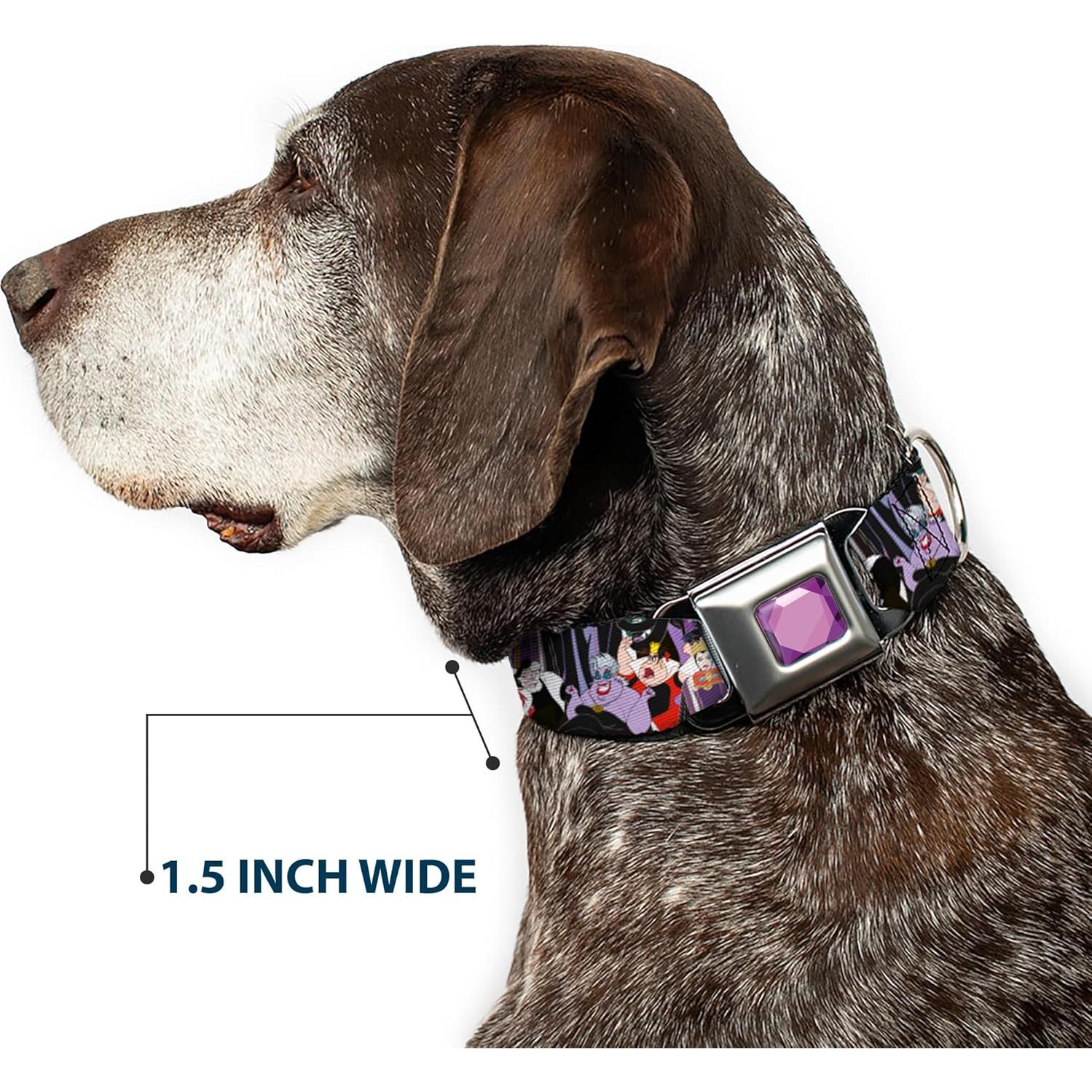 Collar de Perro Buckle-Down Disney 23-38 cm con Hebilla