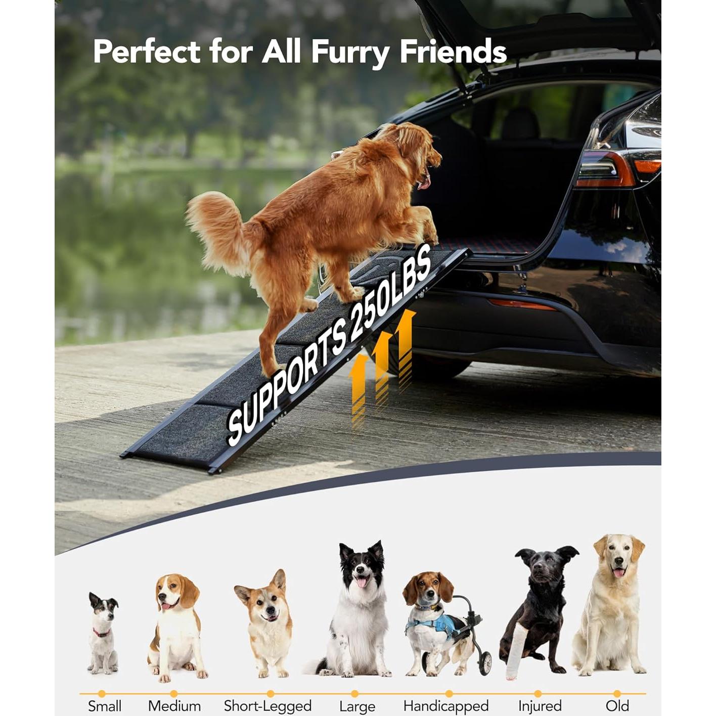 Rampa Plegable para Perros PetThem 180 cm Antideslizante