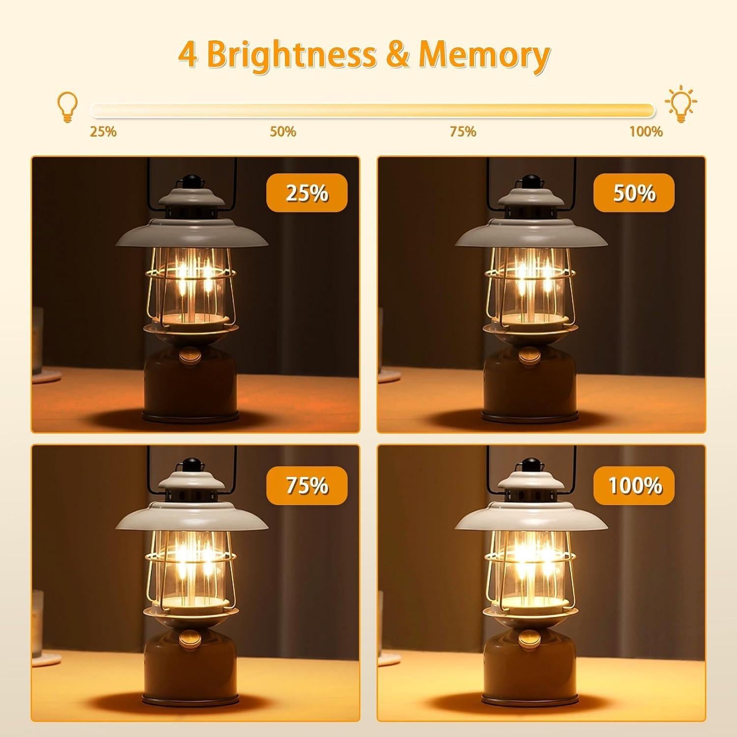 Interruptor de Atenuador Temporizado Chestele 1.8m 100W