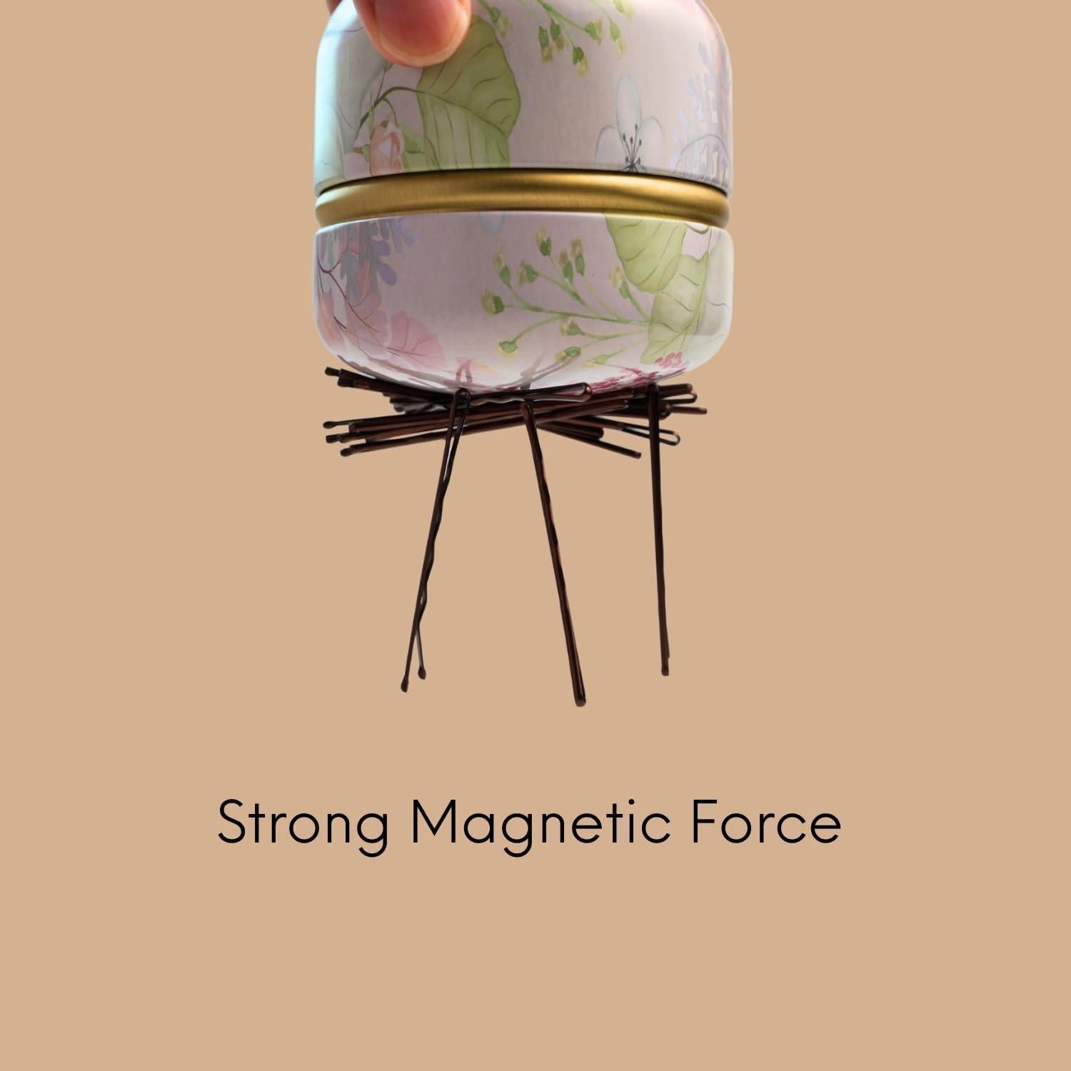 Soporte Magnético para Horquillas FAIRCHIC - 20 Piezas Rosa