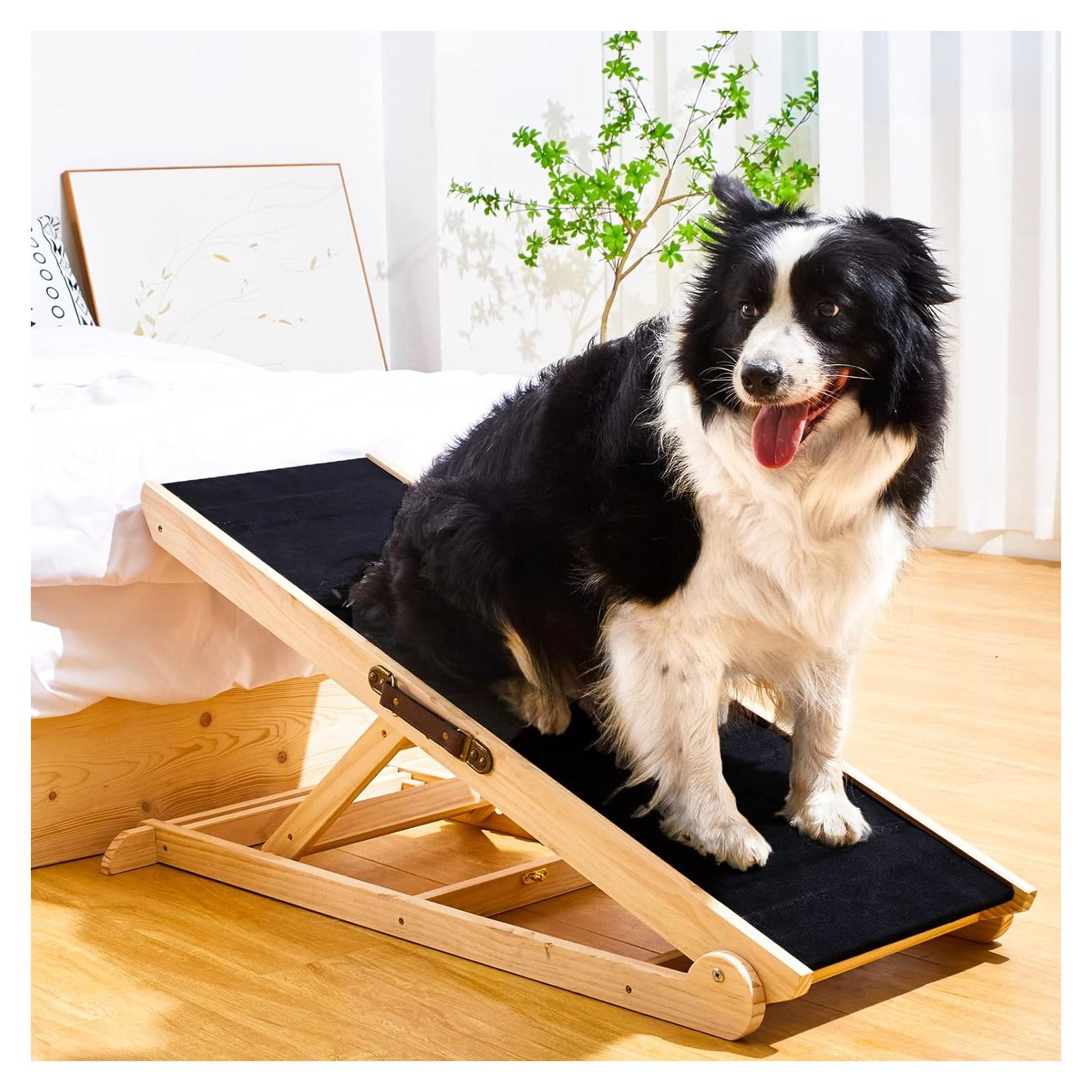 Rampa para Perros Woohoo Lab - Antideslizante 104 cm Ajustable