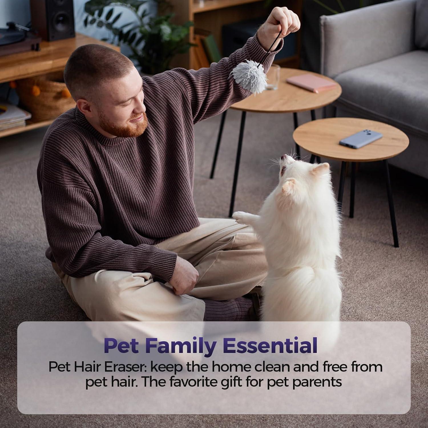 Aspiradora de Mano RELIDOL VC038S para Pelo de Mascotas 720ml