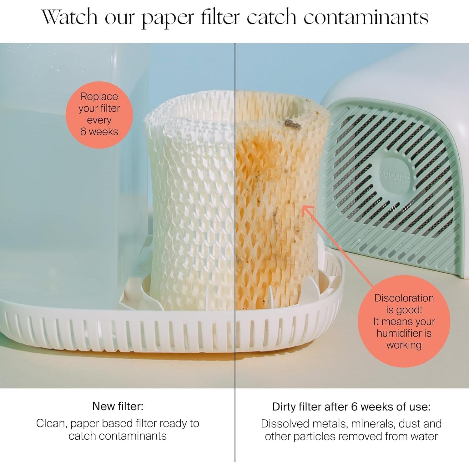 Filtros de Reemplazo para Humidificador Canopy - Paquete de 3